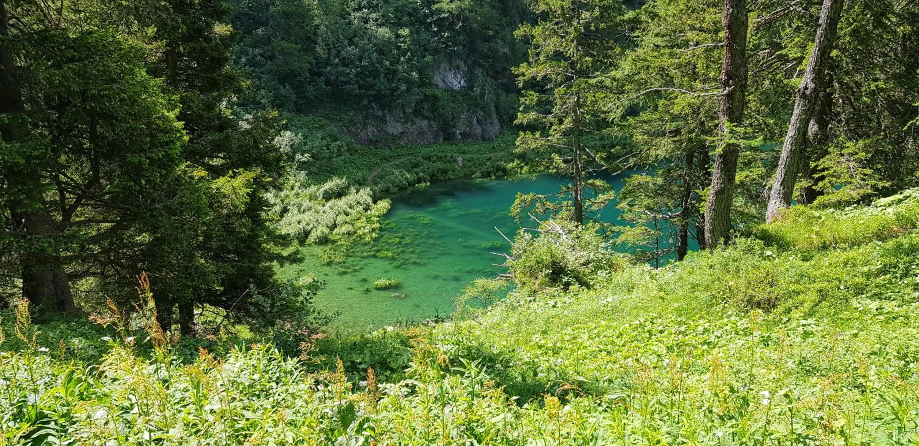 Natural landscape in Hotel Des Alpes - Restaurant & Pizzeria