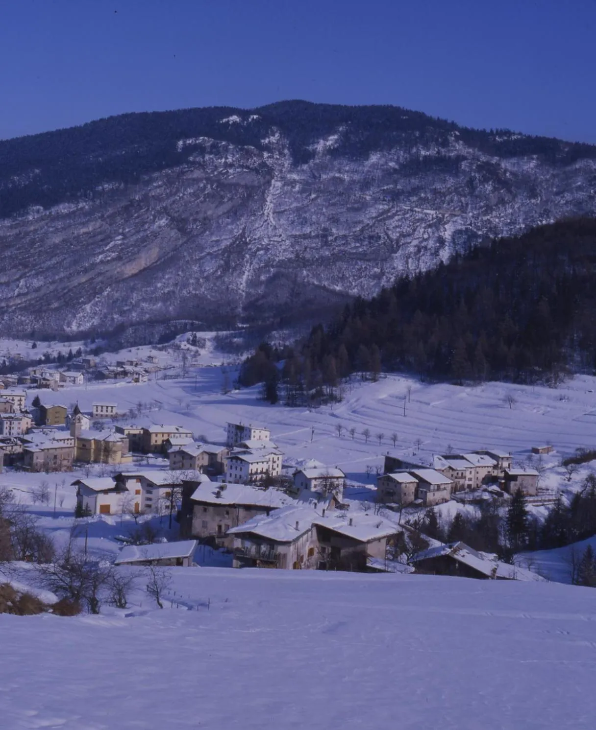 Natural landscape in Hotel Olisamir