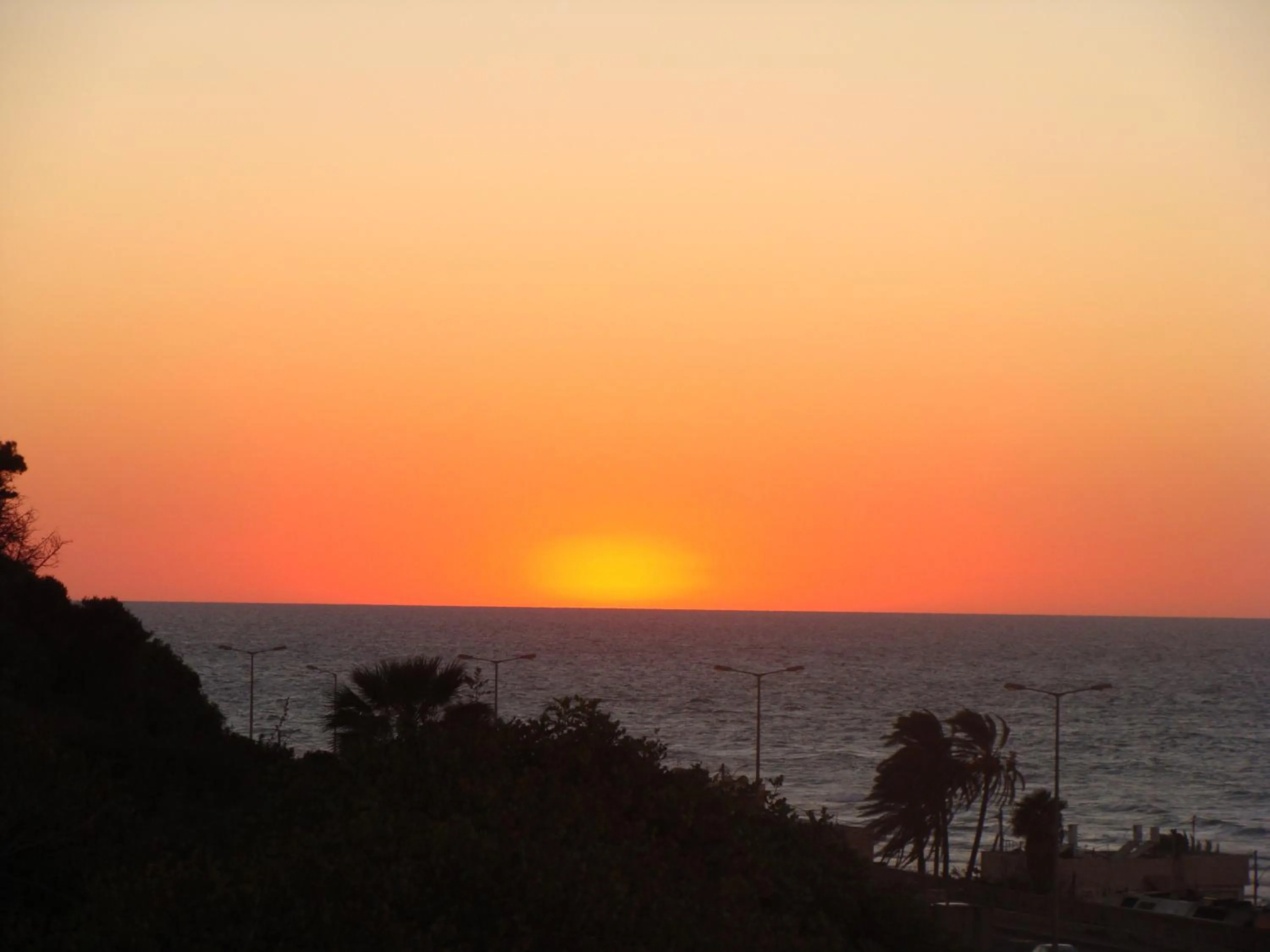 View (from property/room) in Tamer Guest house