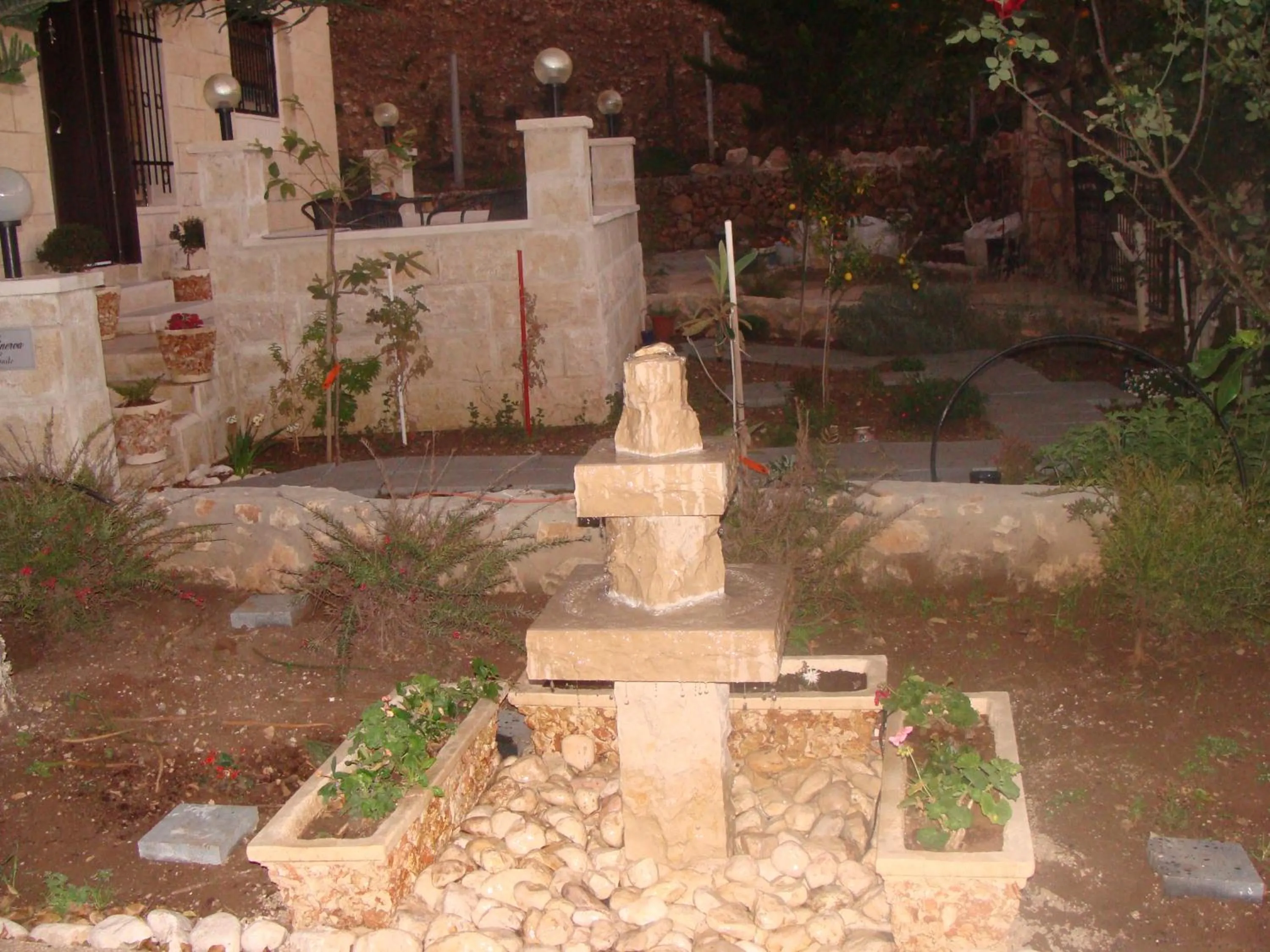 Garden in Tamer Guest house