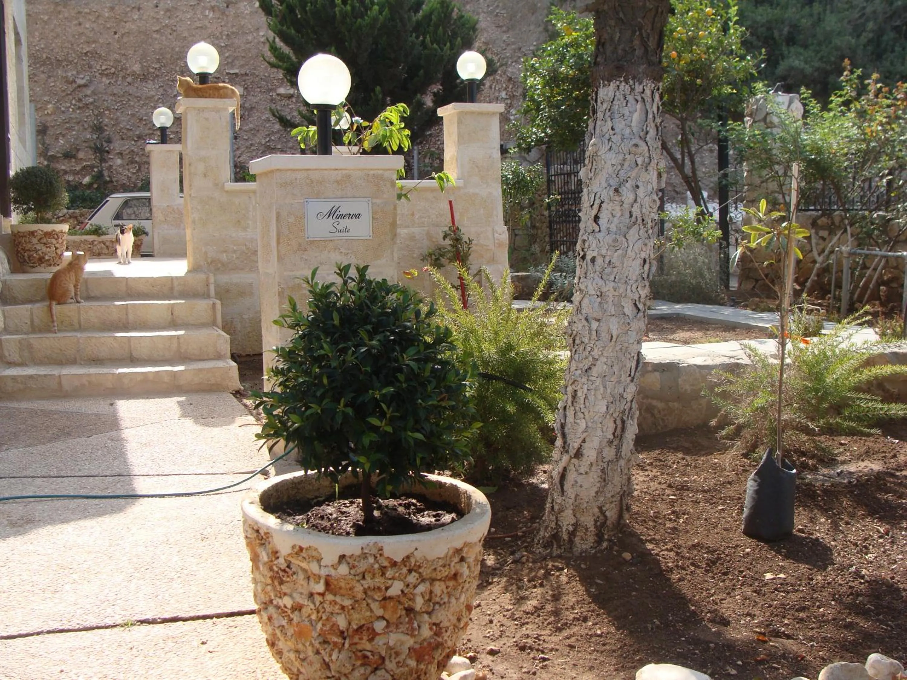 Balcony/Terrace in Tamer Guest house