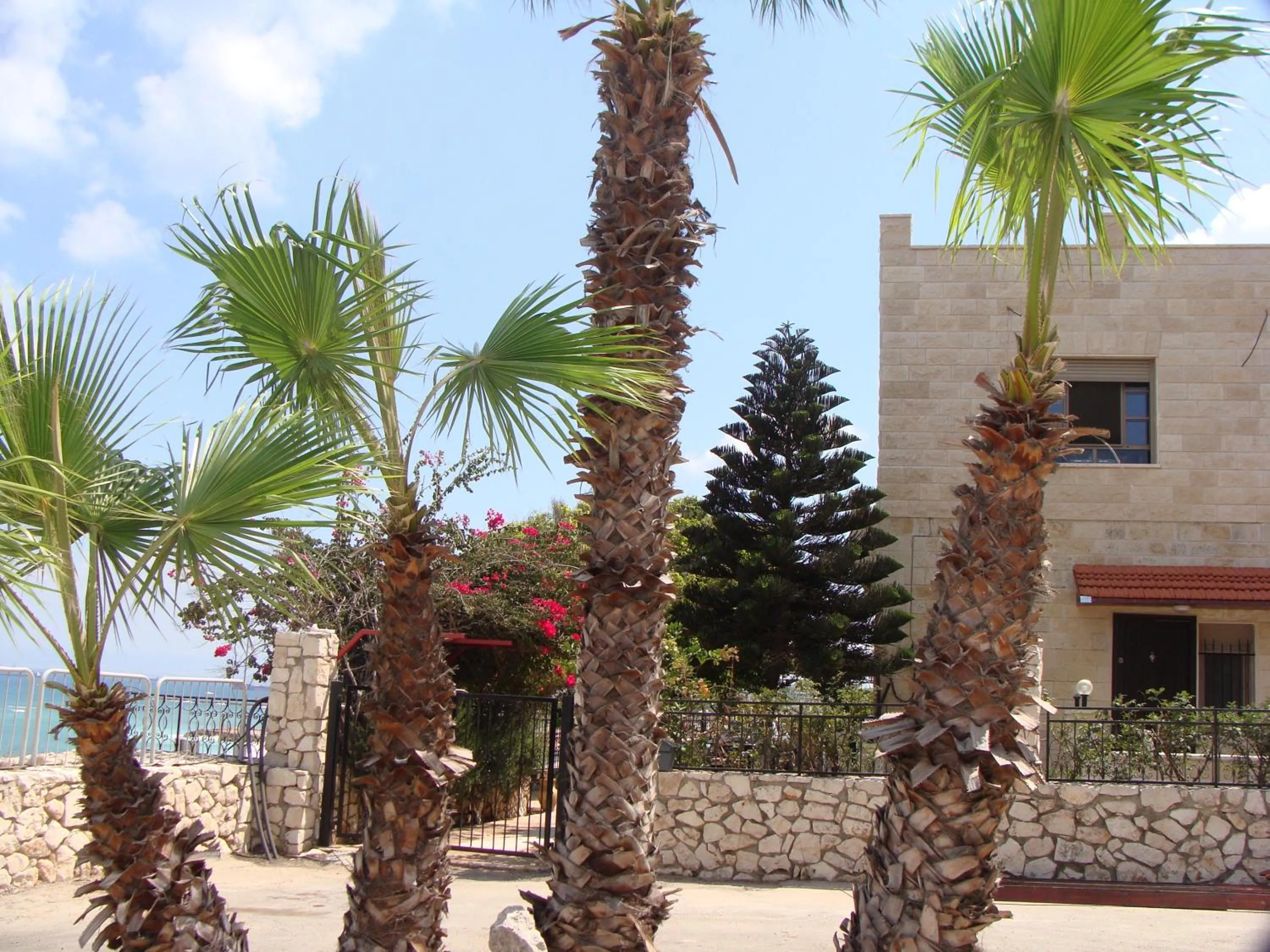 Area and facilities in Tamer Guest house
