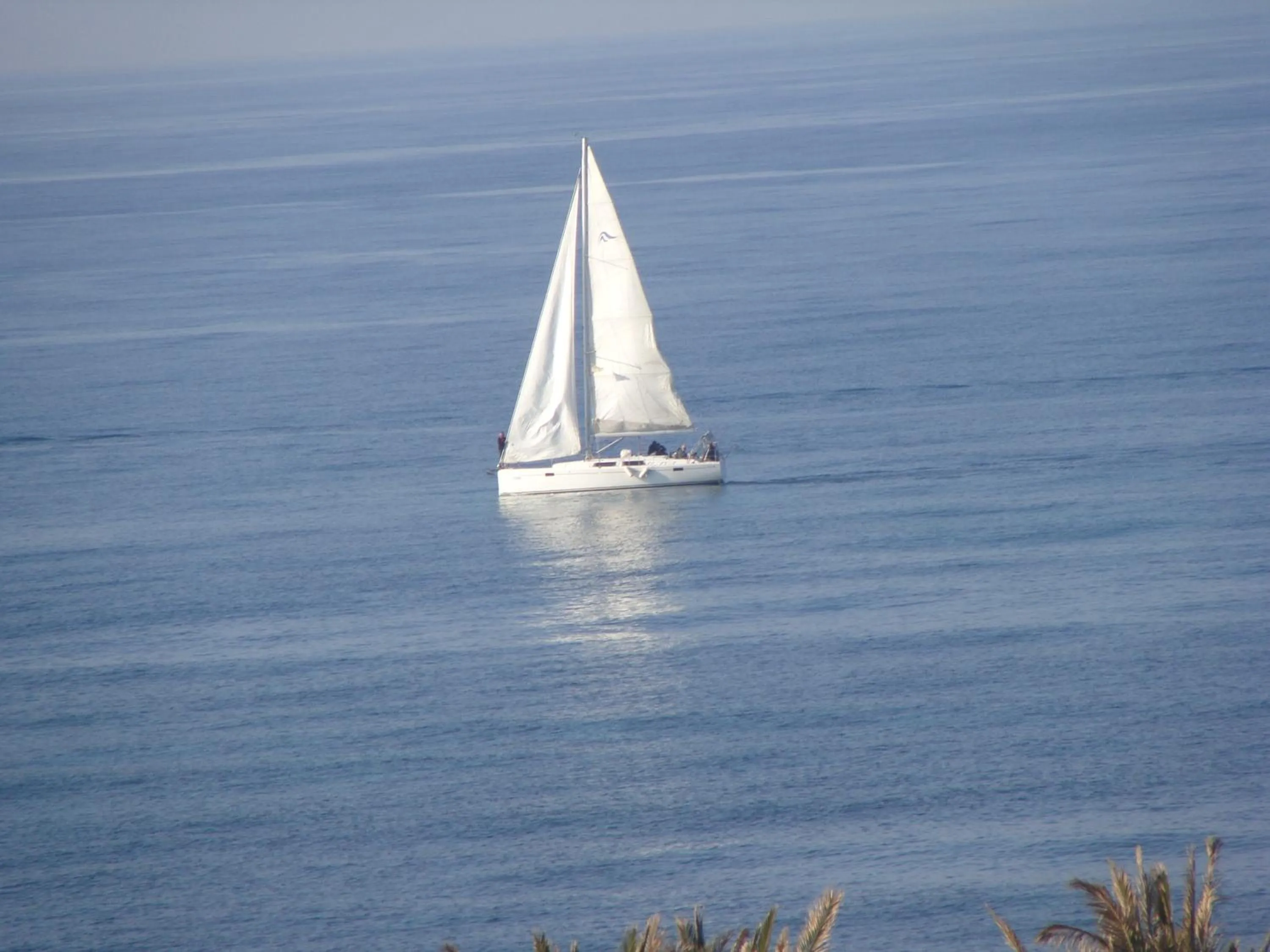 View (from property/room) in Tamer Guest house