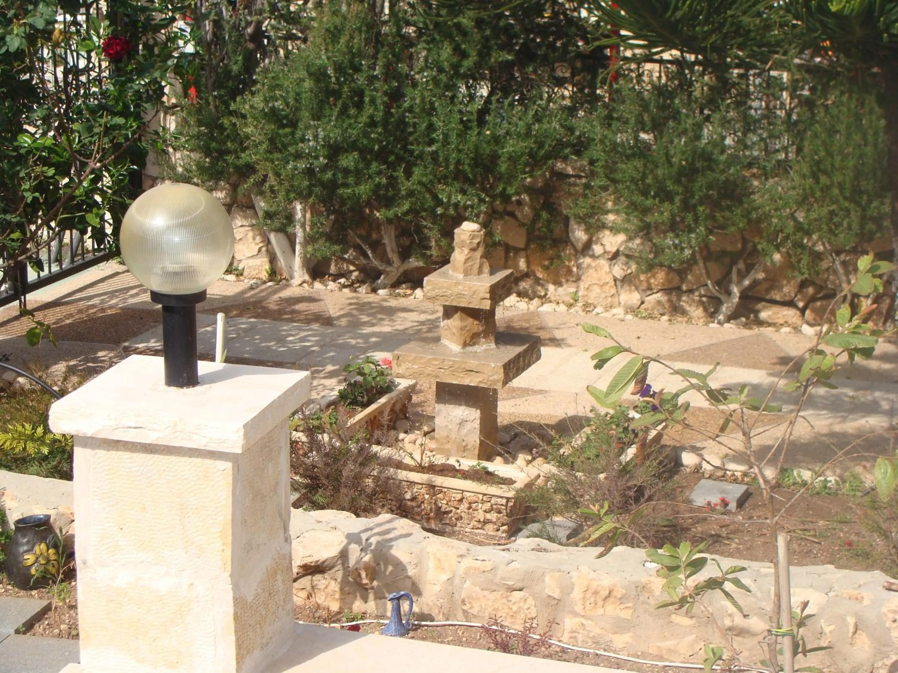 Garden in Tamer Guest house