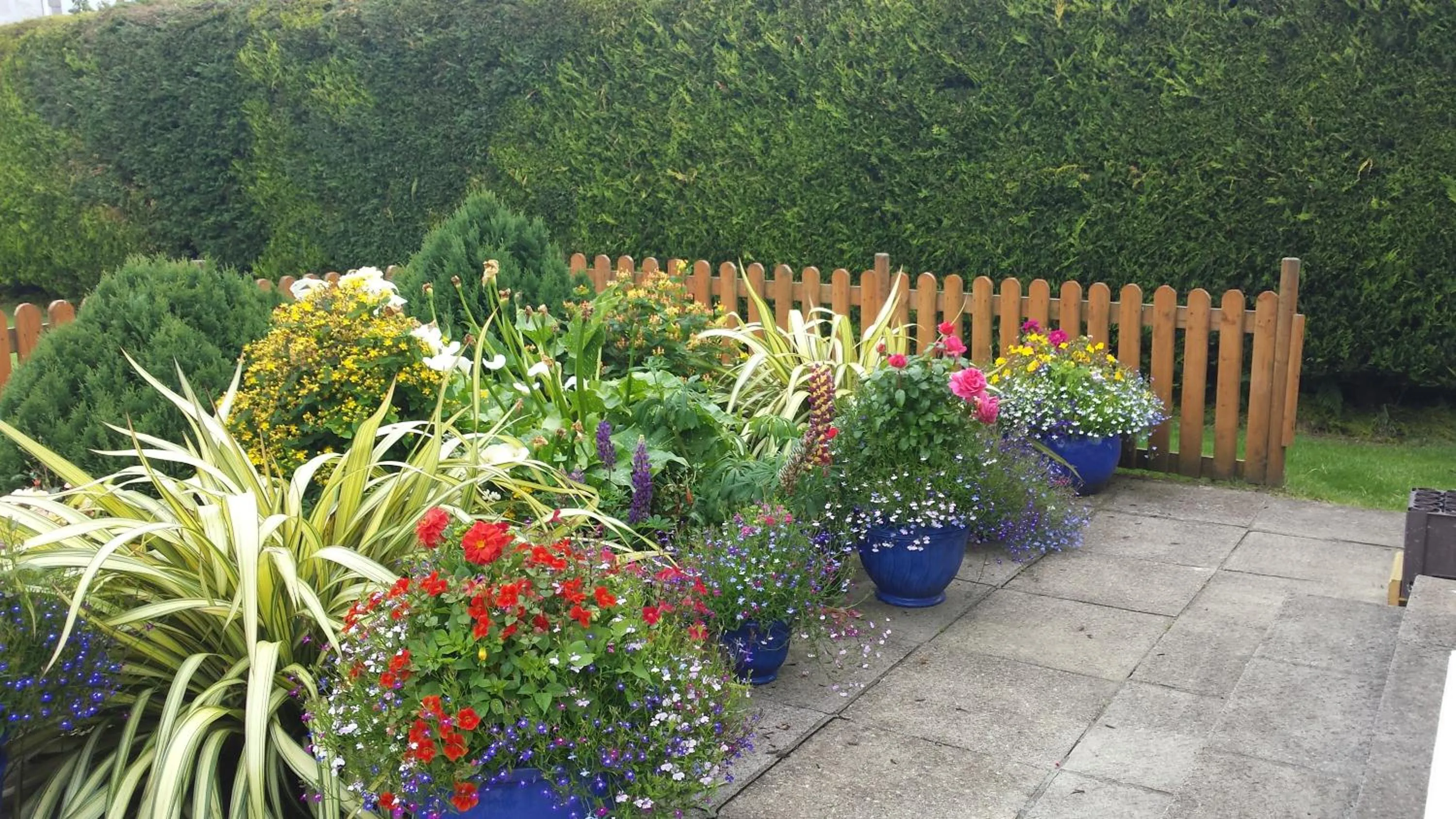 Garden in Riverwalk House B&B