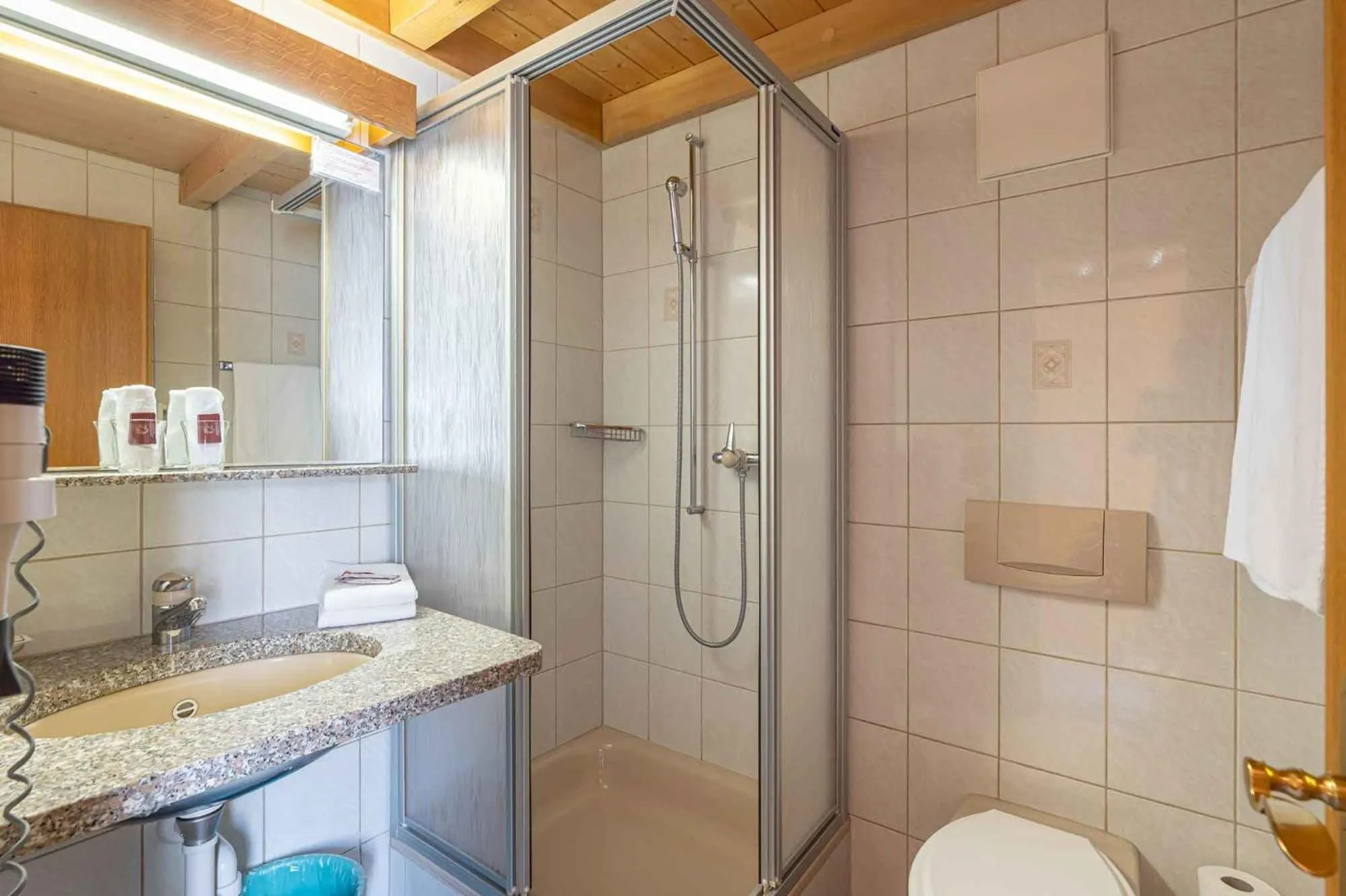 Shower in Aktiv- und Genusshotel Alpenblick