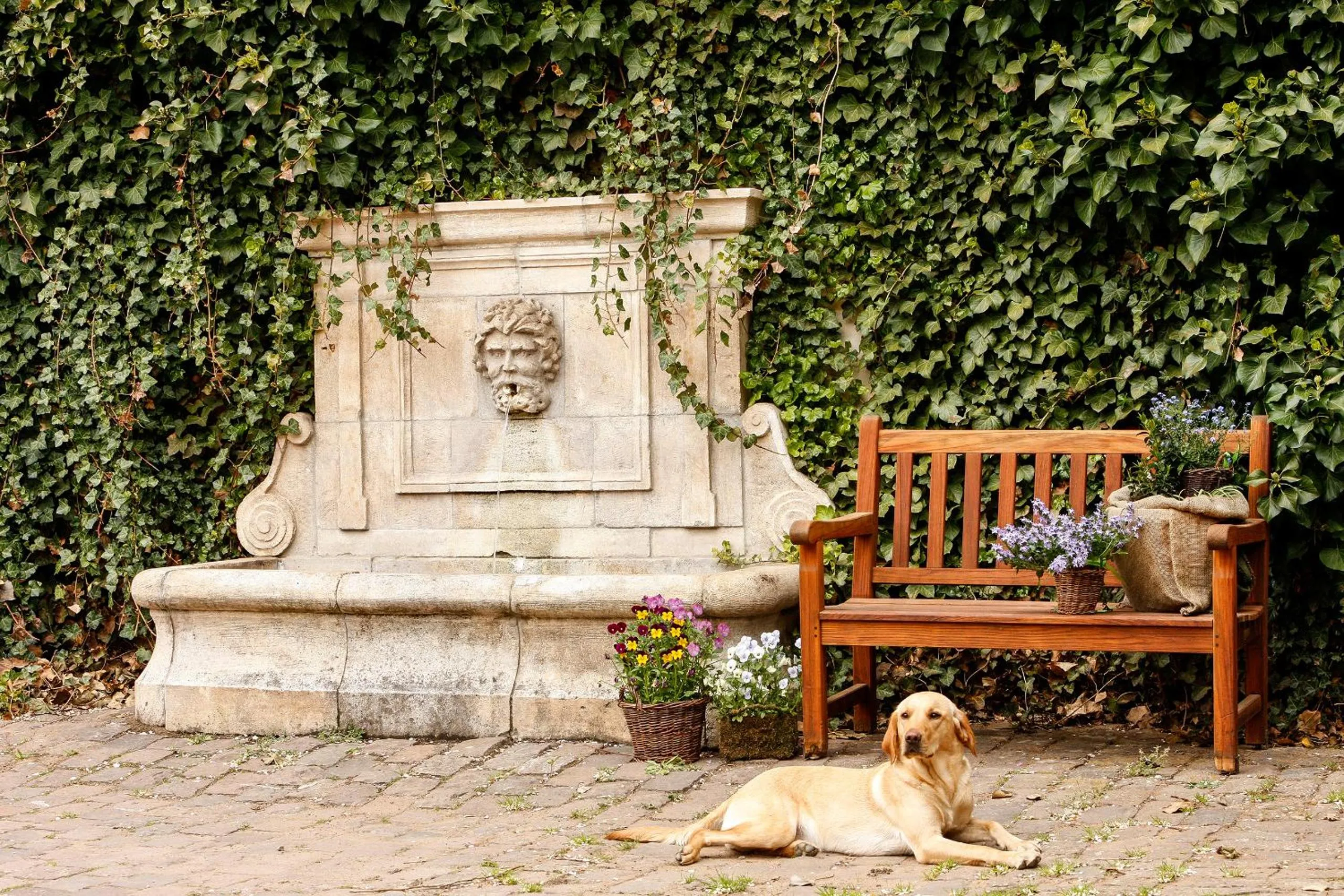 Garden in Der Linslerhof - Hotel, Restaurant, Events & Natur