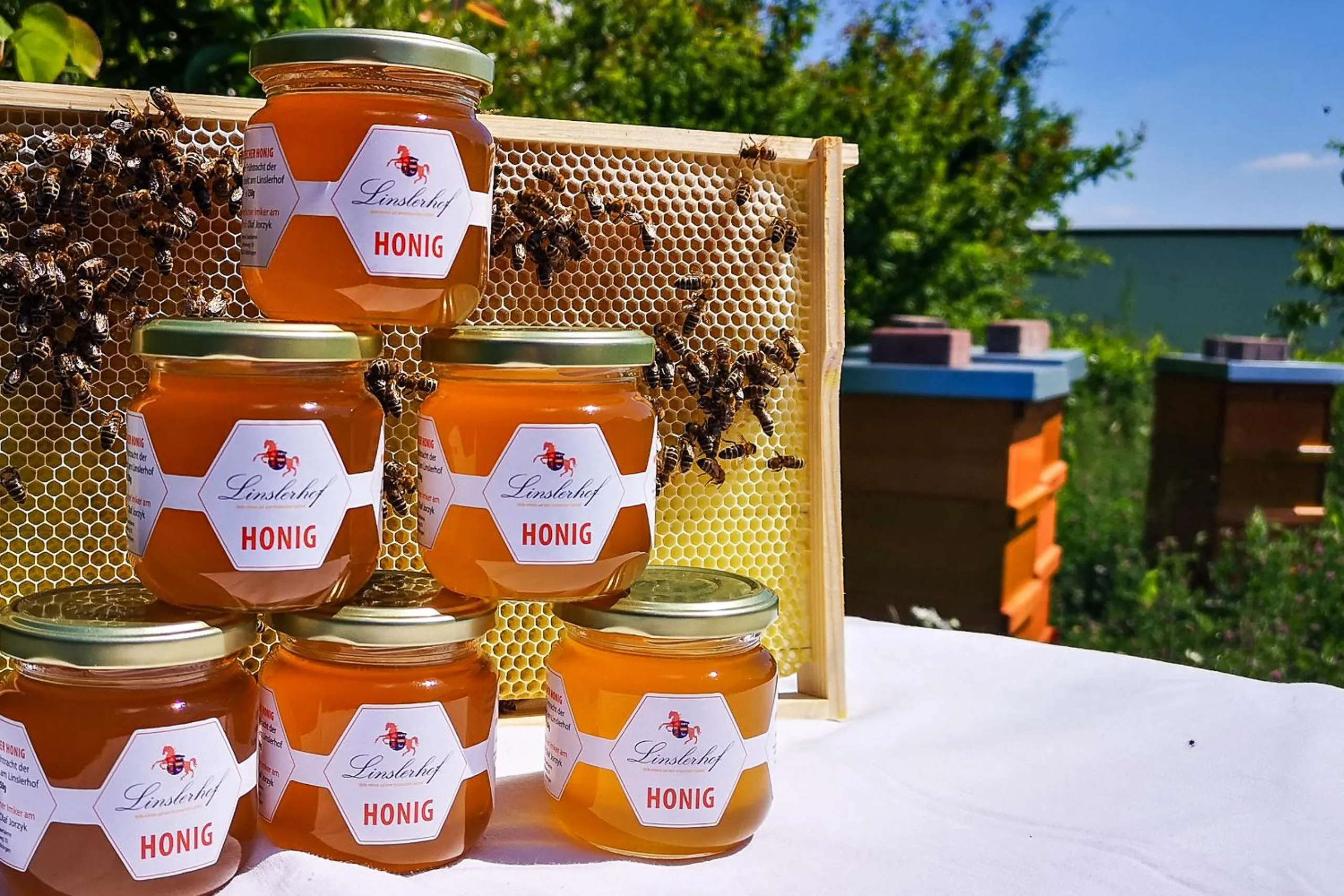 Spring in Der Linslerhof - Hotel, Restaurant, Events & Natur