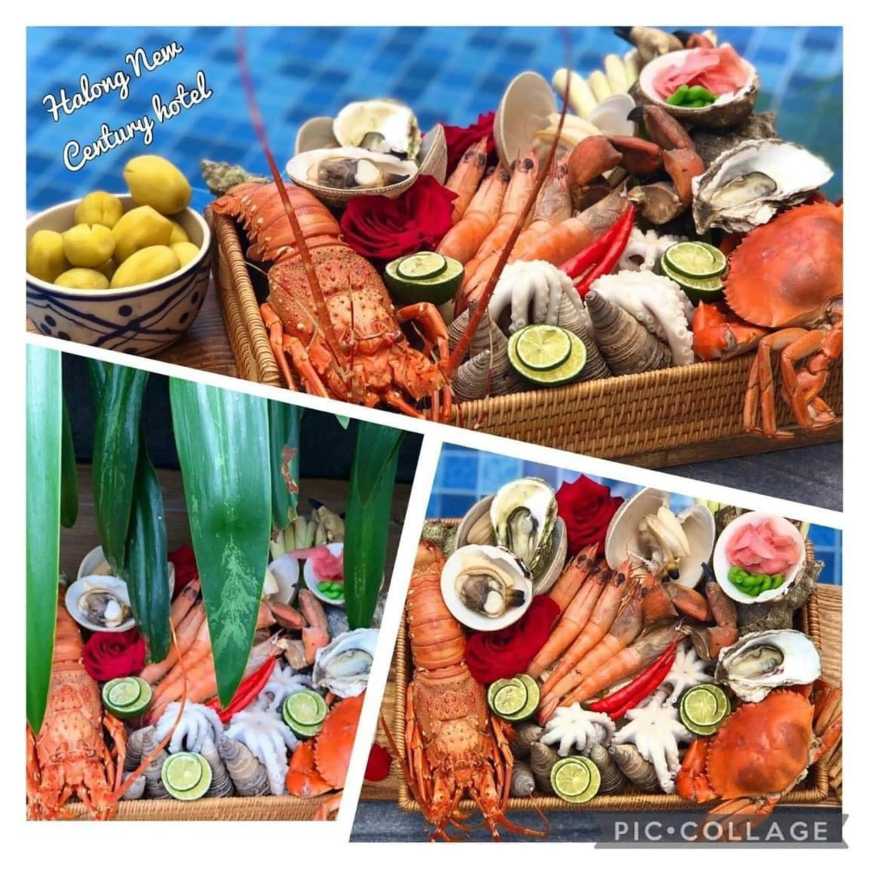 Restaurant/places to eat in Hạ Long New Century Hotel