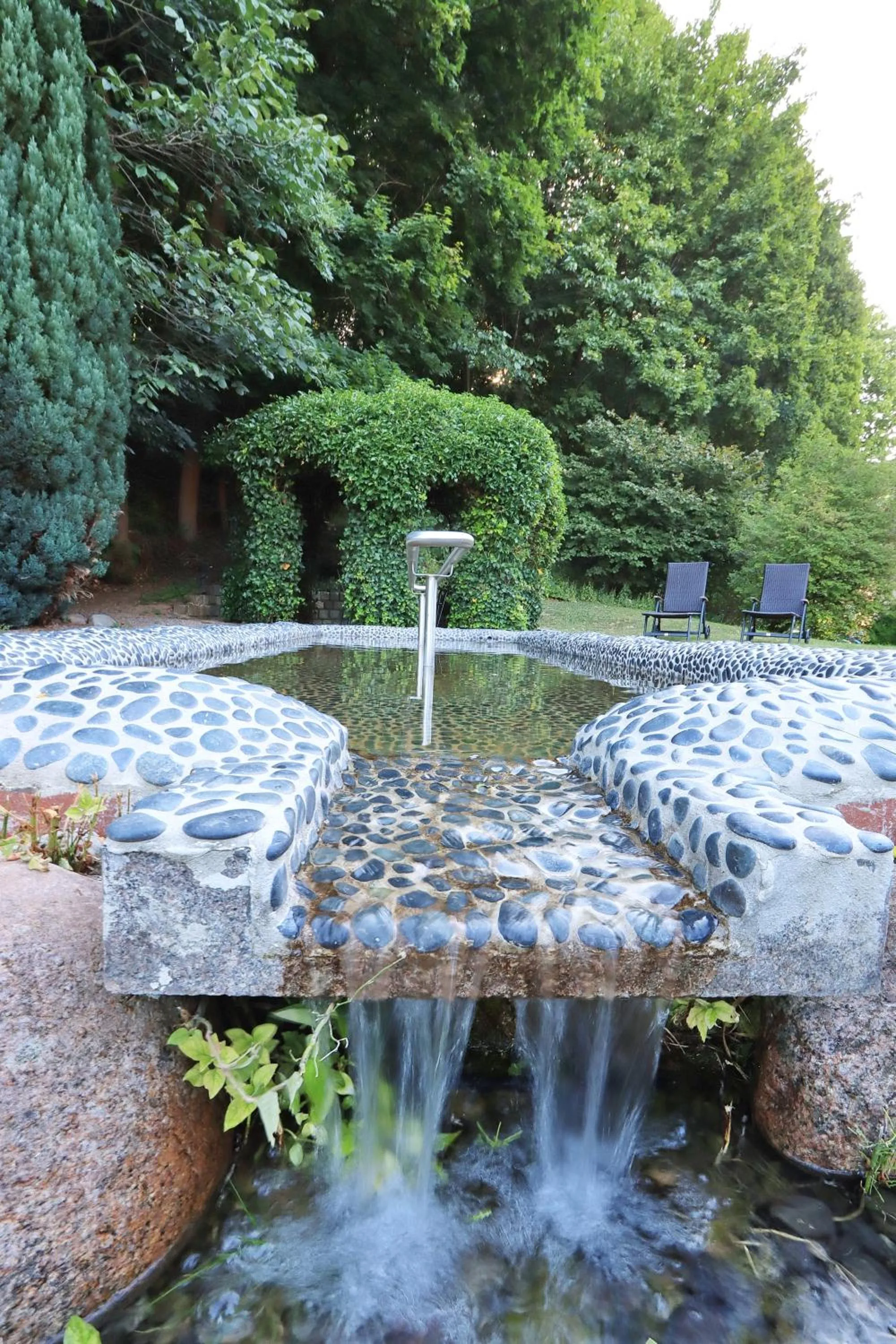 Garden in Parkhotel Flora