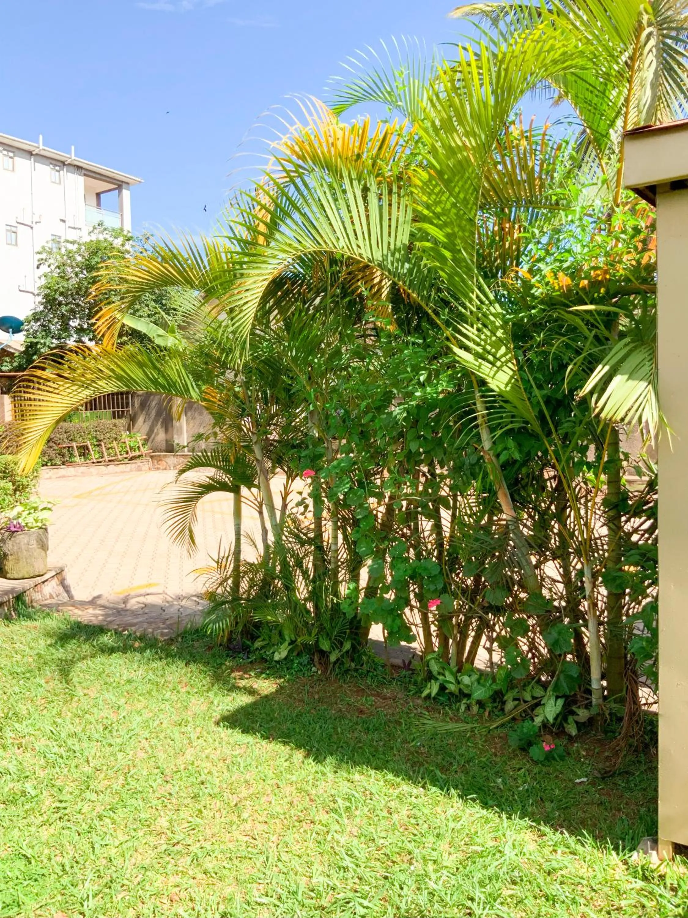 Garden in Hendo Hotel