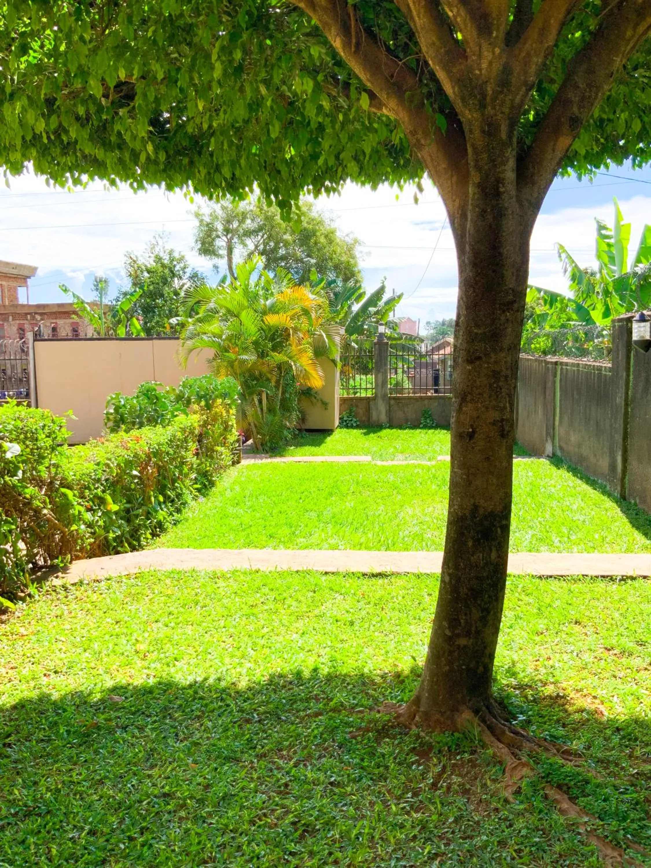 Garden in Hendo Hotel