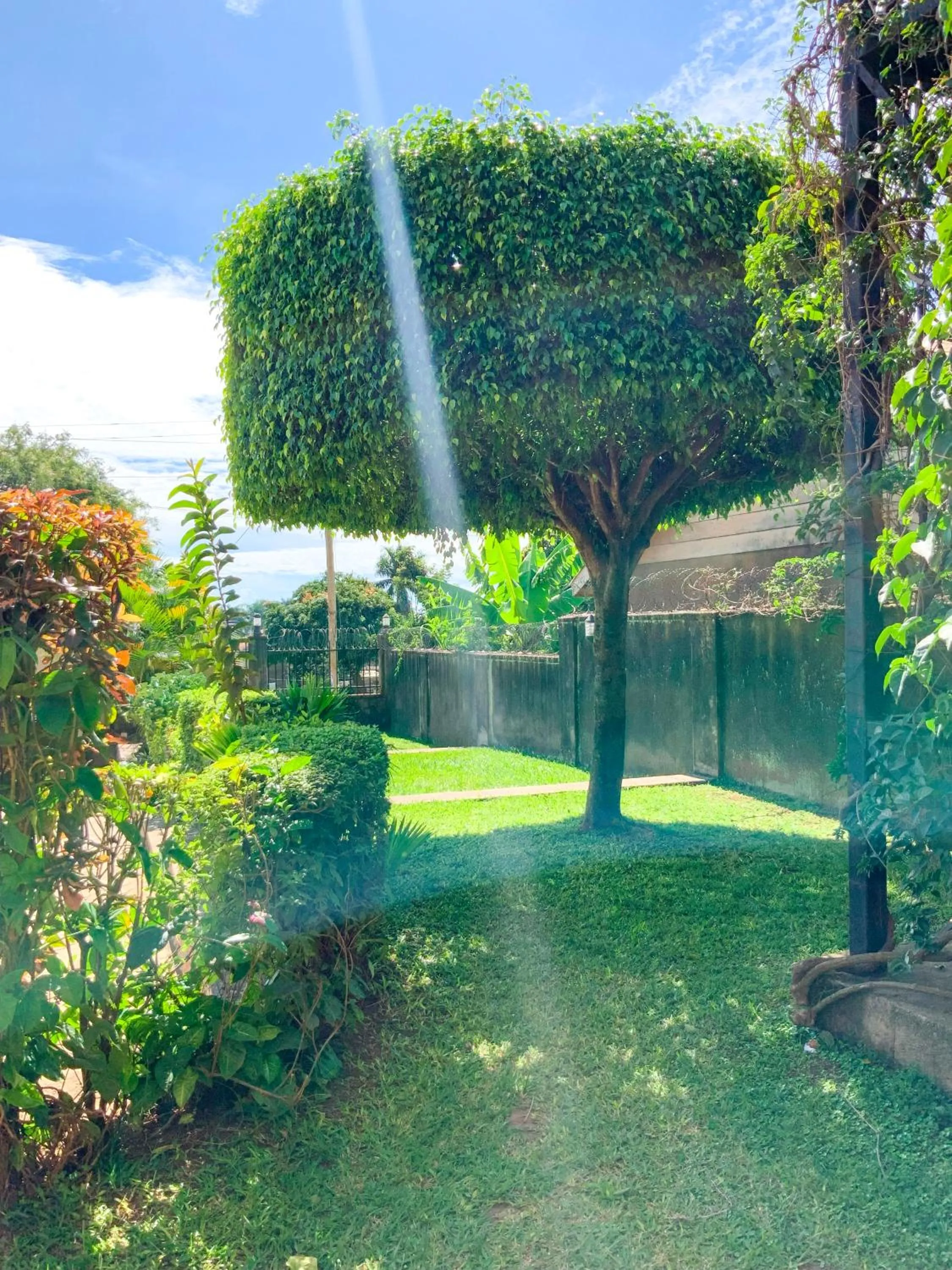 Garden in Hendo Hotel