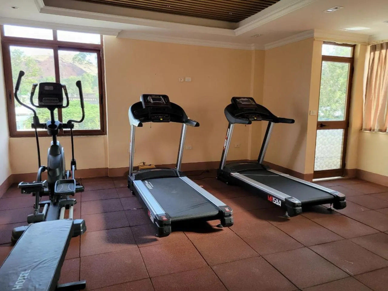 Fitness centre/facilities in Ivy Hotel, Bishoftu