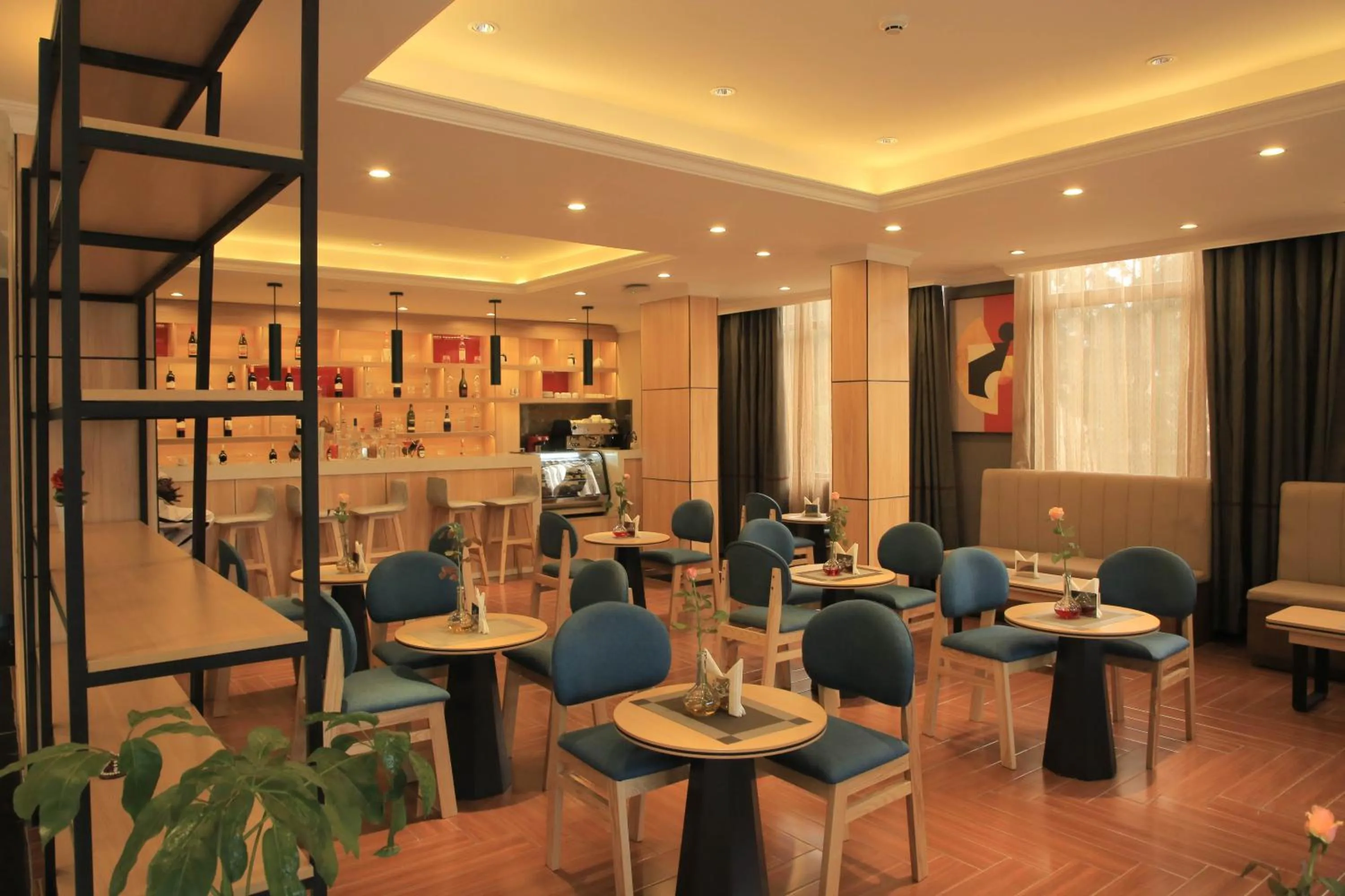 oven in Ivy Hotel, Bishoftu