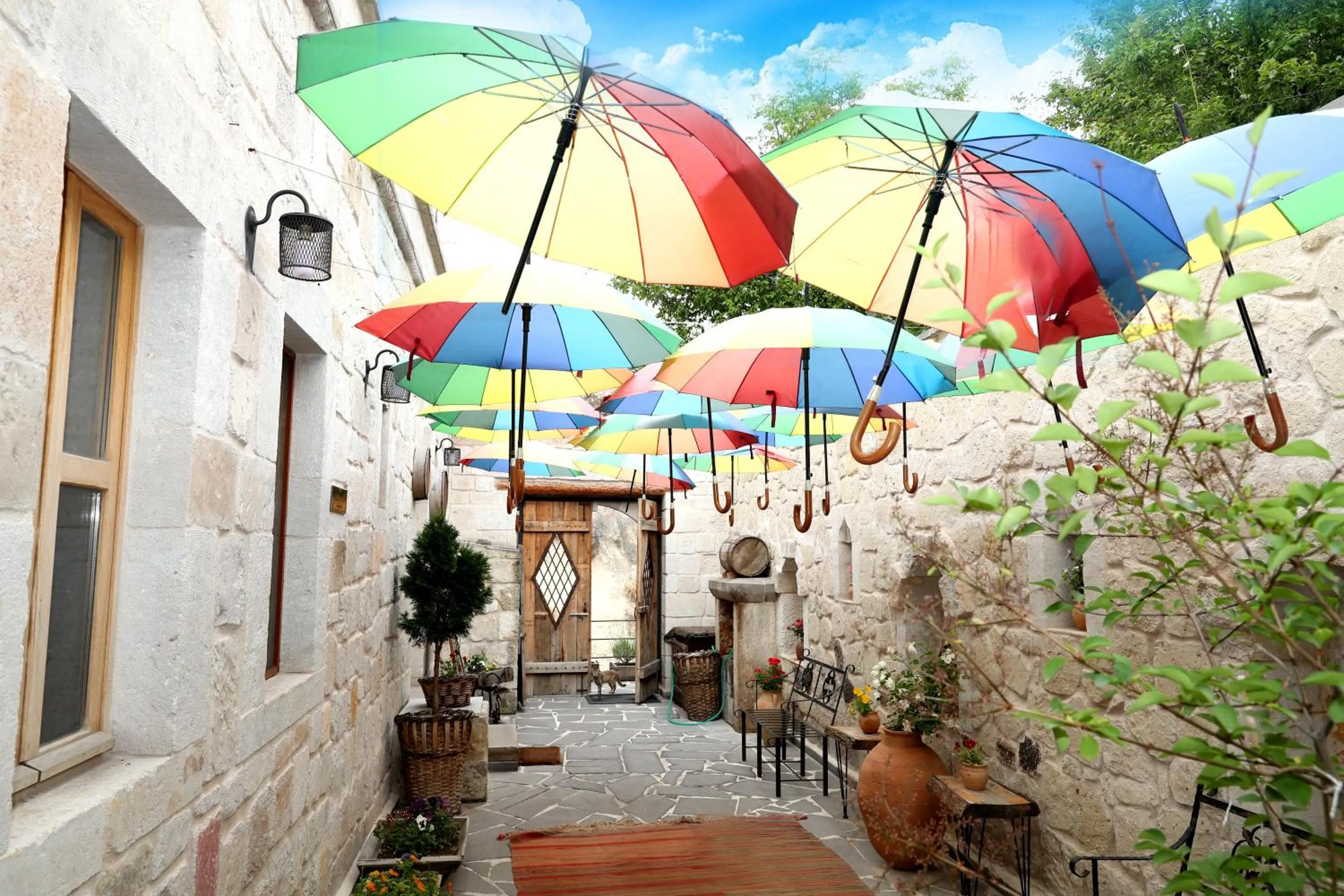 Day in Nox Cave Hotel Special Class