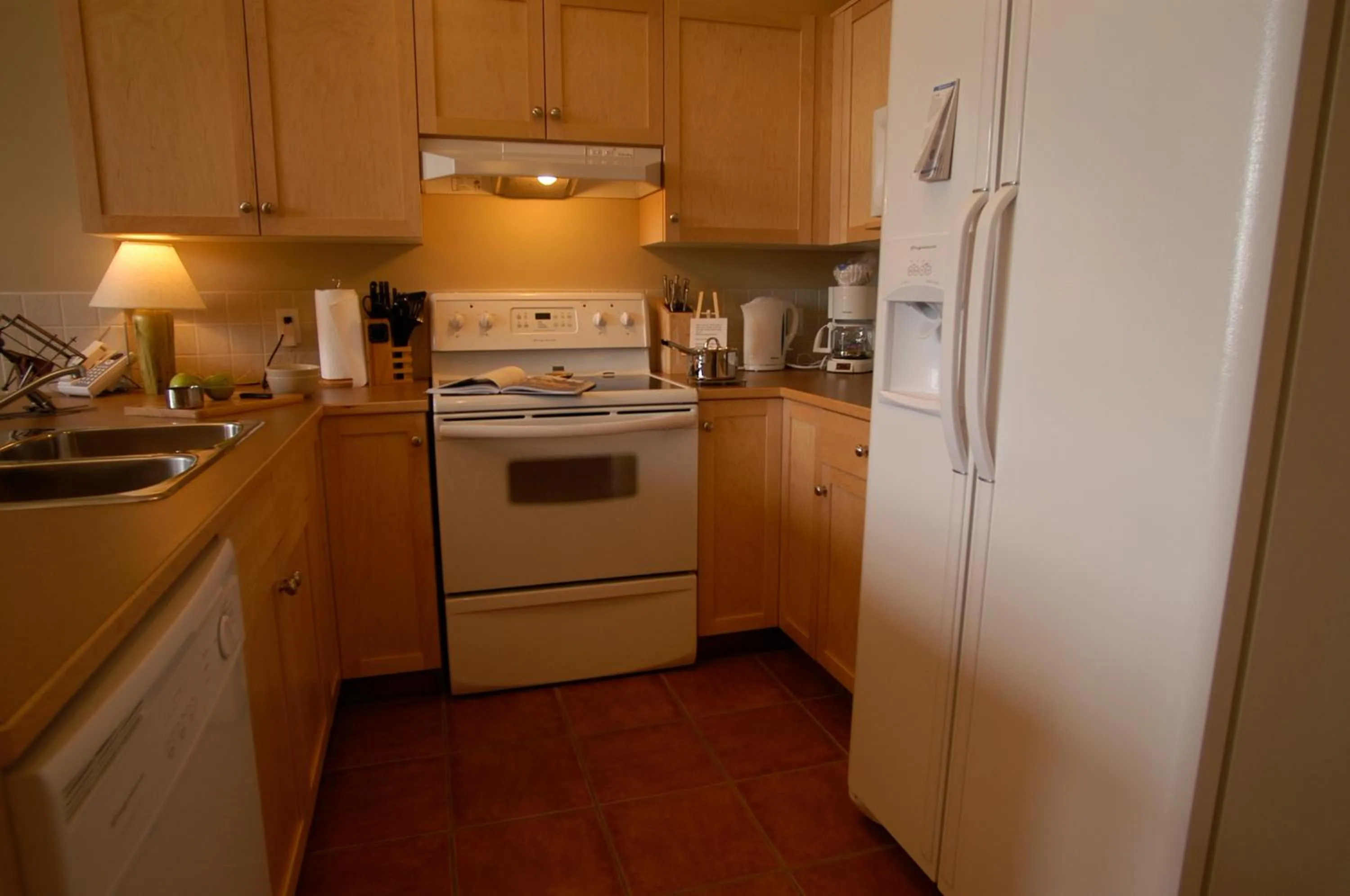 Kitchen or kitchenette in Apartment 406, Indigenous Artefacts