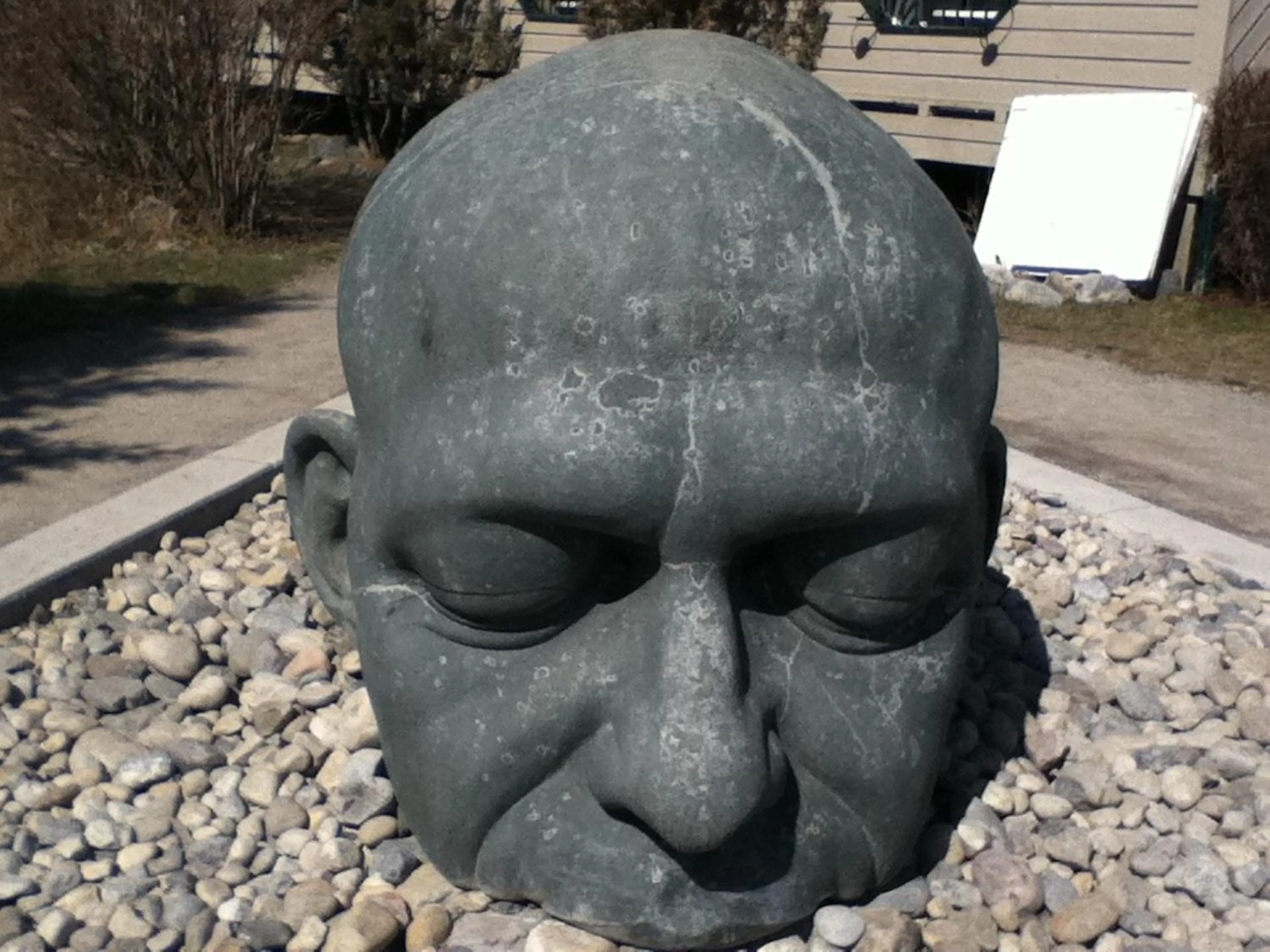 Nearby landmark in Apartment 406, Indigenous Artefacts