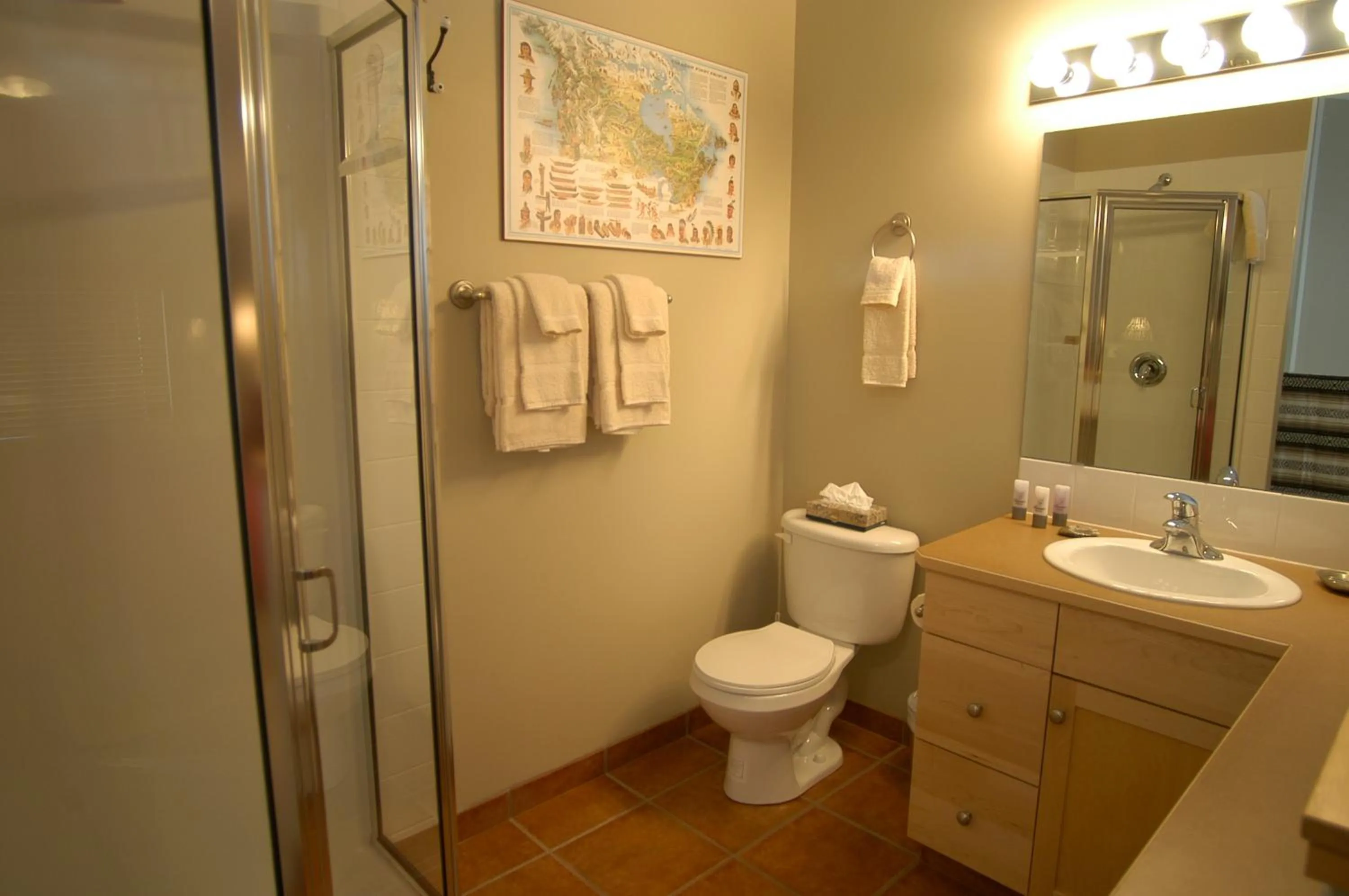 Bathroom in Apartment 406, Indigenous Artefacts