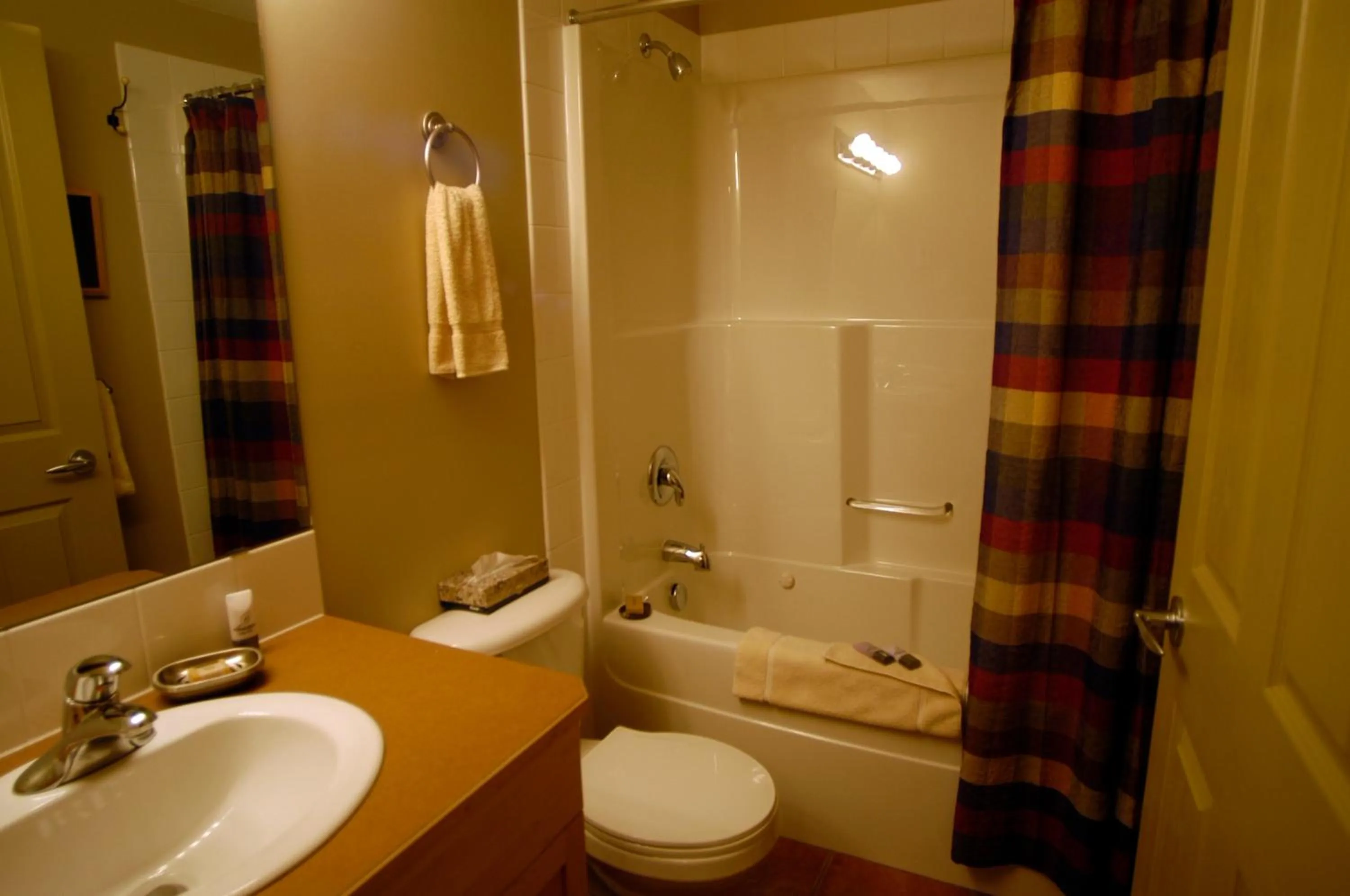 Bathroom in Apartment 406, Indigenous Artefacts