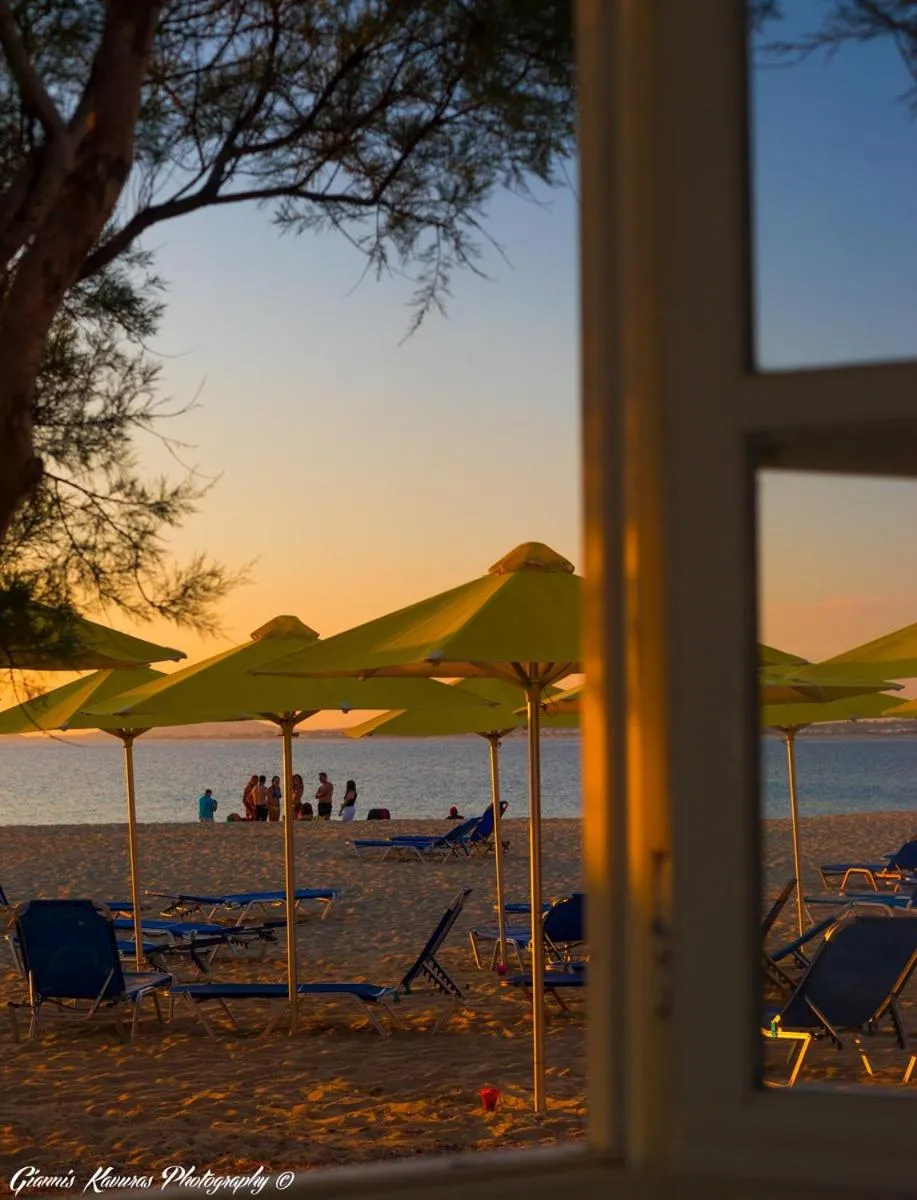 Beach in Mikri Vigla Hotel Beach Resort