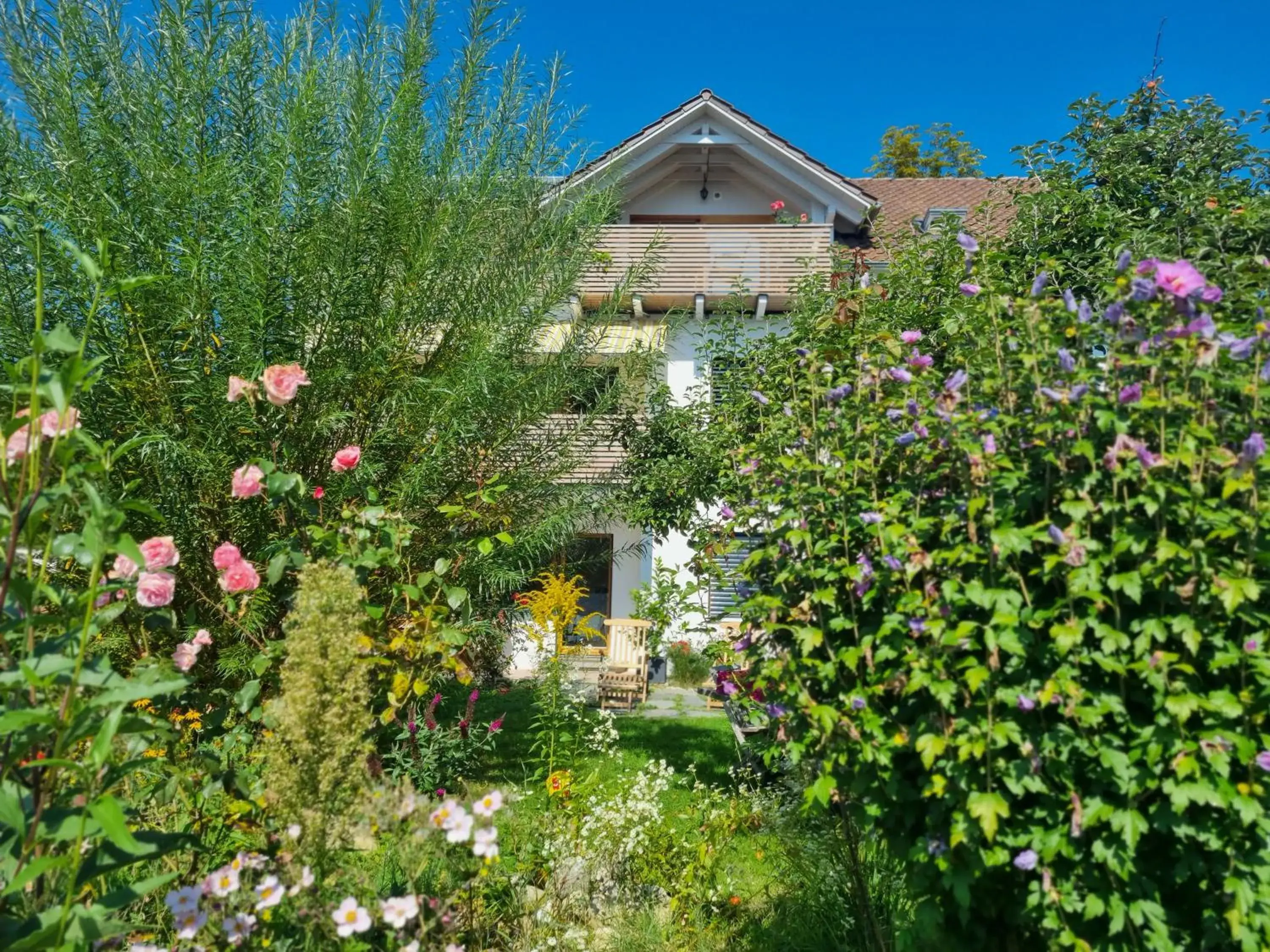 Traumhafte Gartenwohnung in Überlinger Hanglage - Zur goldenen Kiwi Traumhafte Gartenwohnung in Überlinger Hanglage - Zur goldenen Kiwi