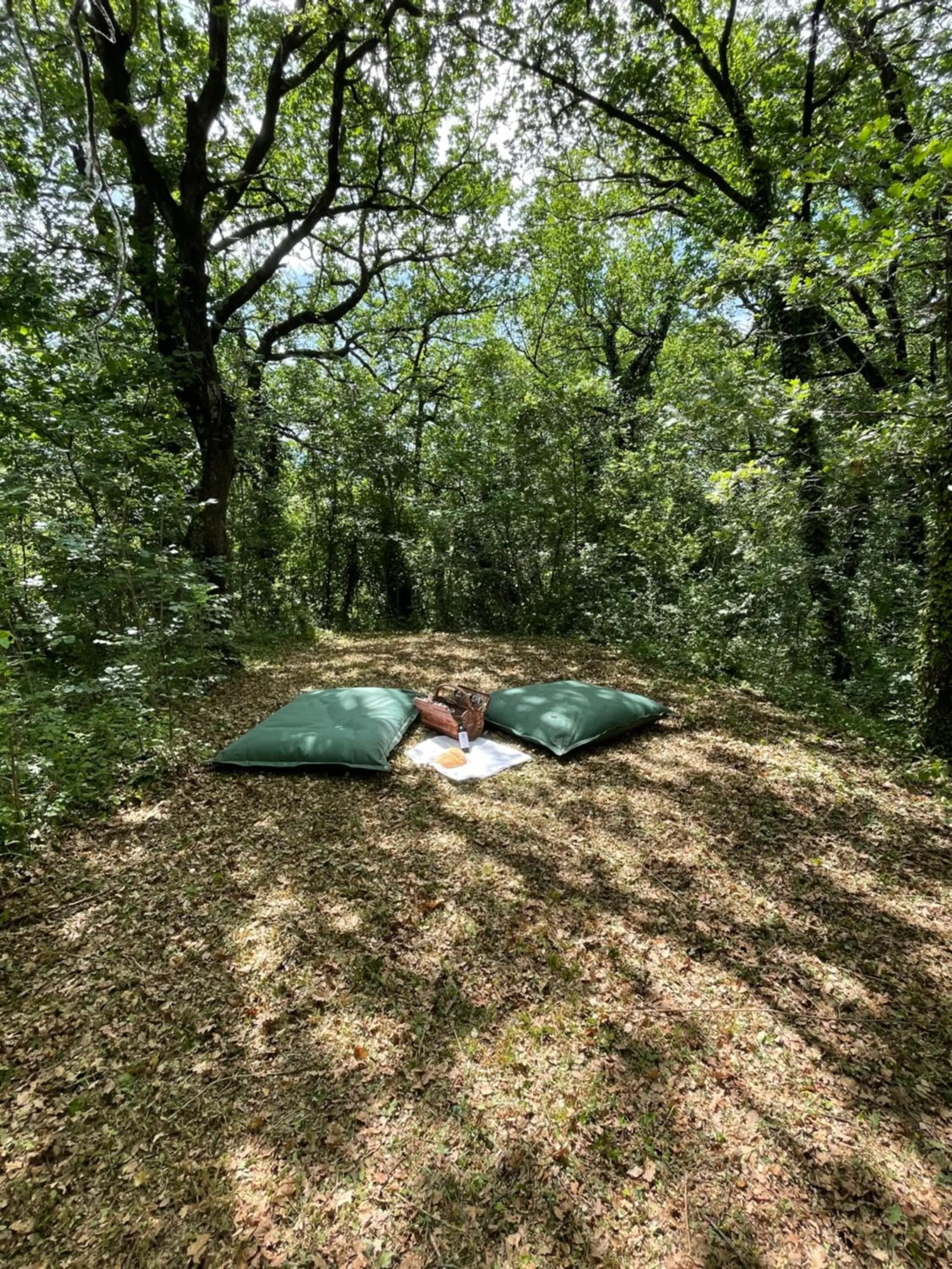 Garden in Casina Morgana B&B