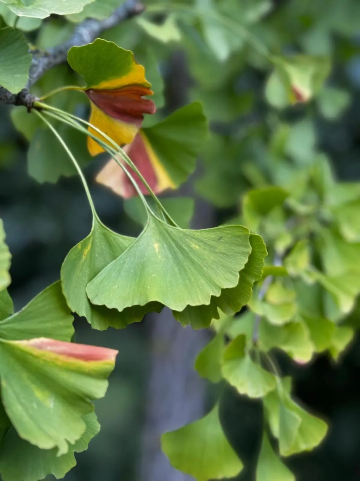 Natural landscape in Casina Morgana B&B