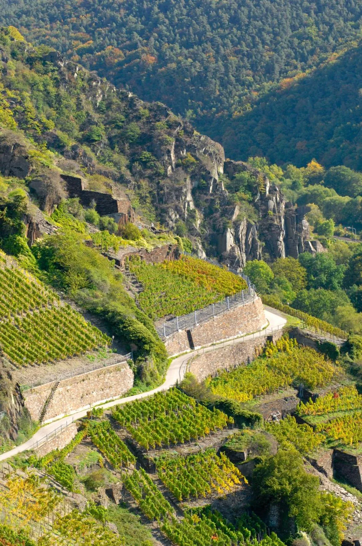 Area and facilities in Hotel Villa Sanct Peter