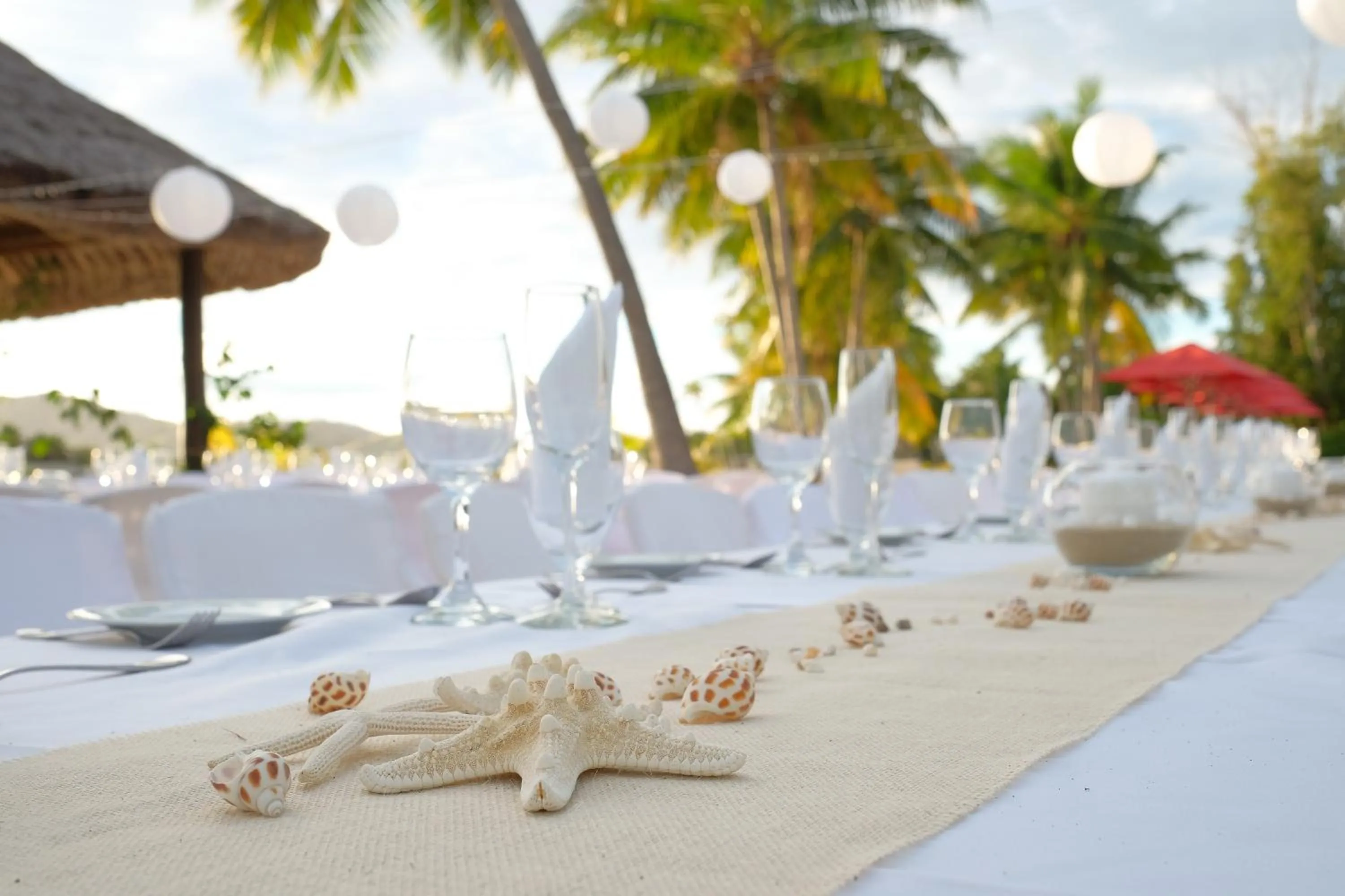 Garden in Musket Cove Island Resort