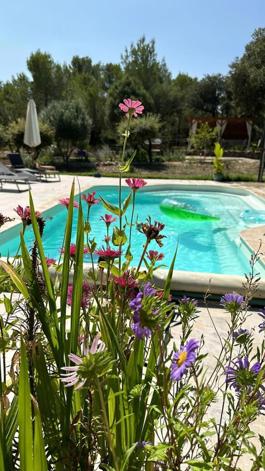La Margottière chez isa et titi