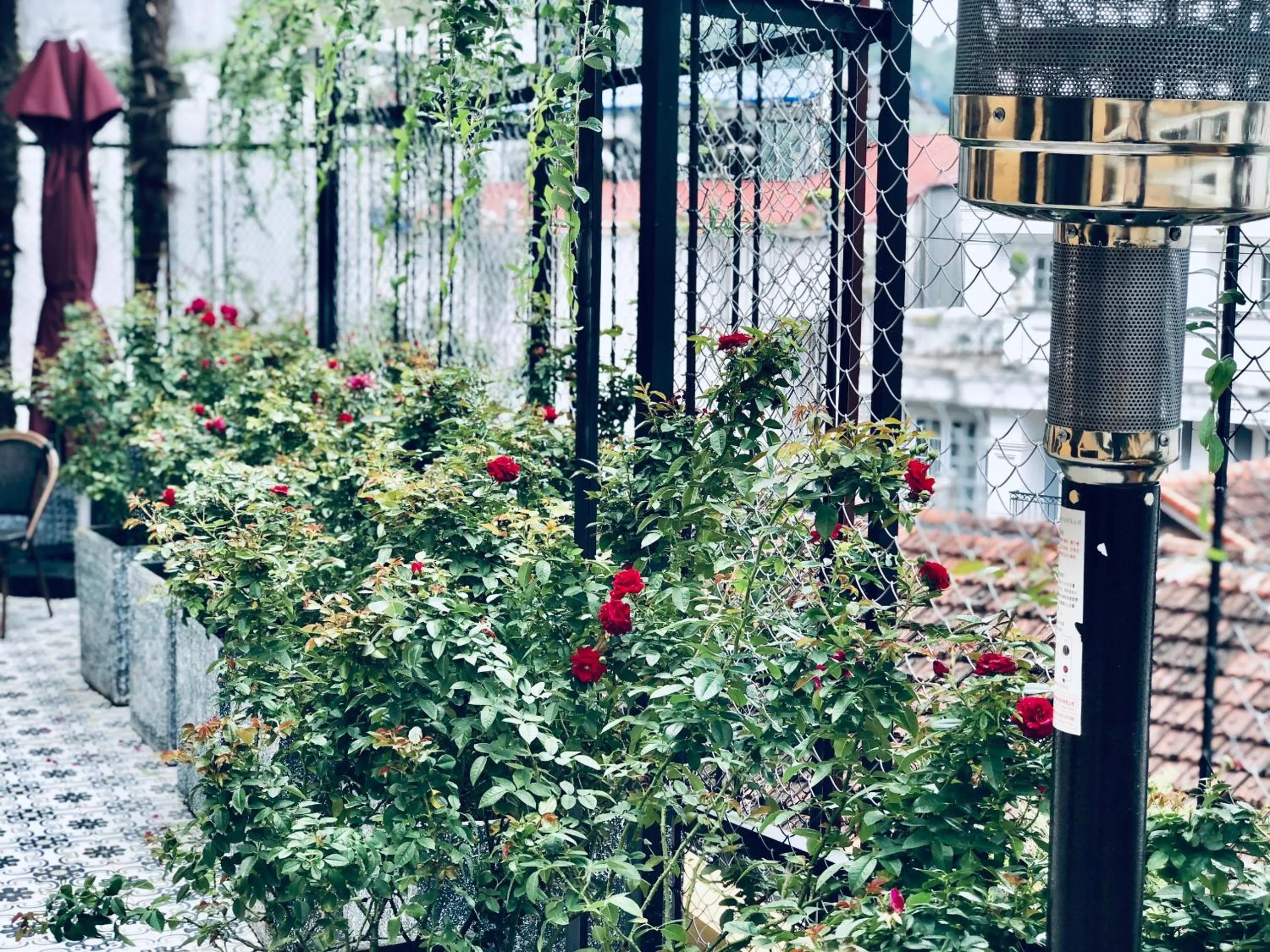 Cat Cat Galerie d’Art