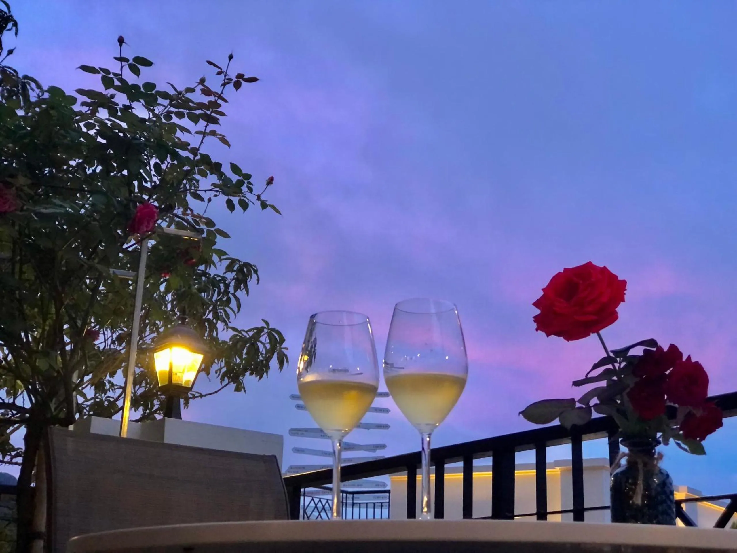 Cat Cat Galerie d’Art