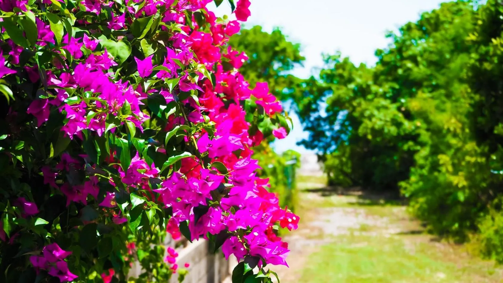 Property building in Palm Villa Ishigakijima fusu