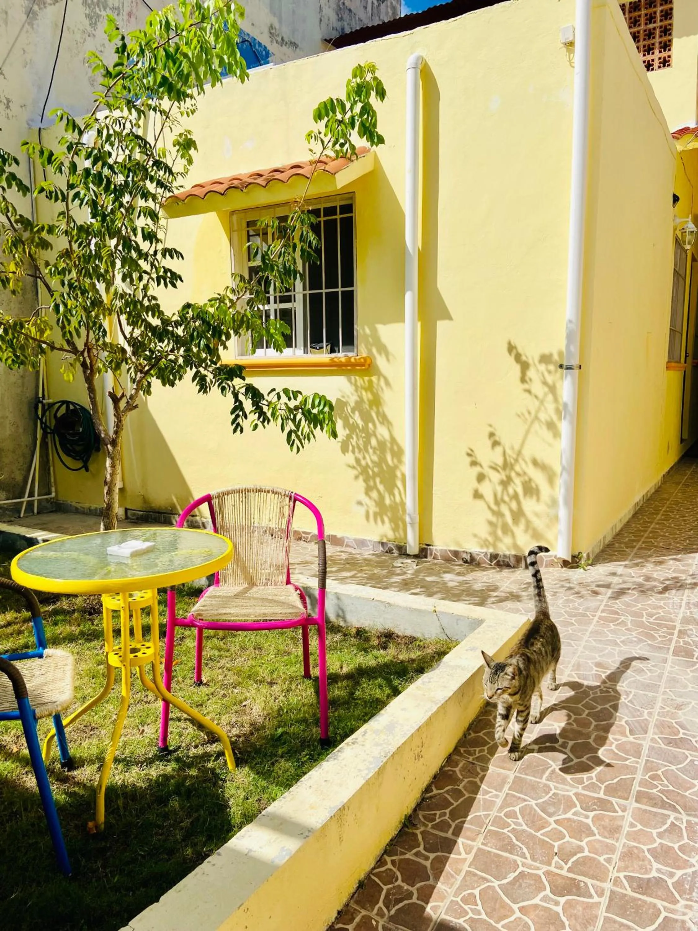 Patio in Casa Kini en Cancún