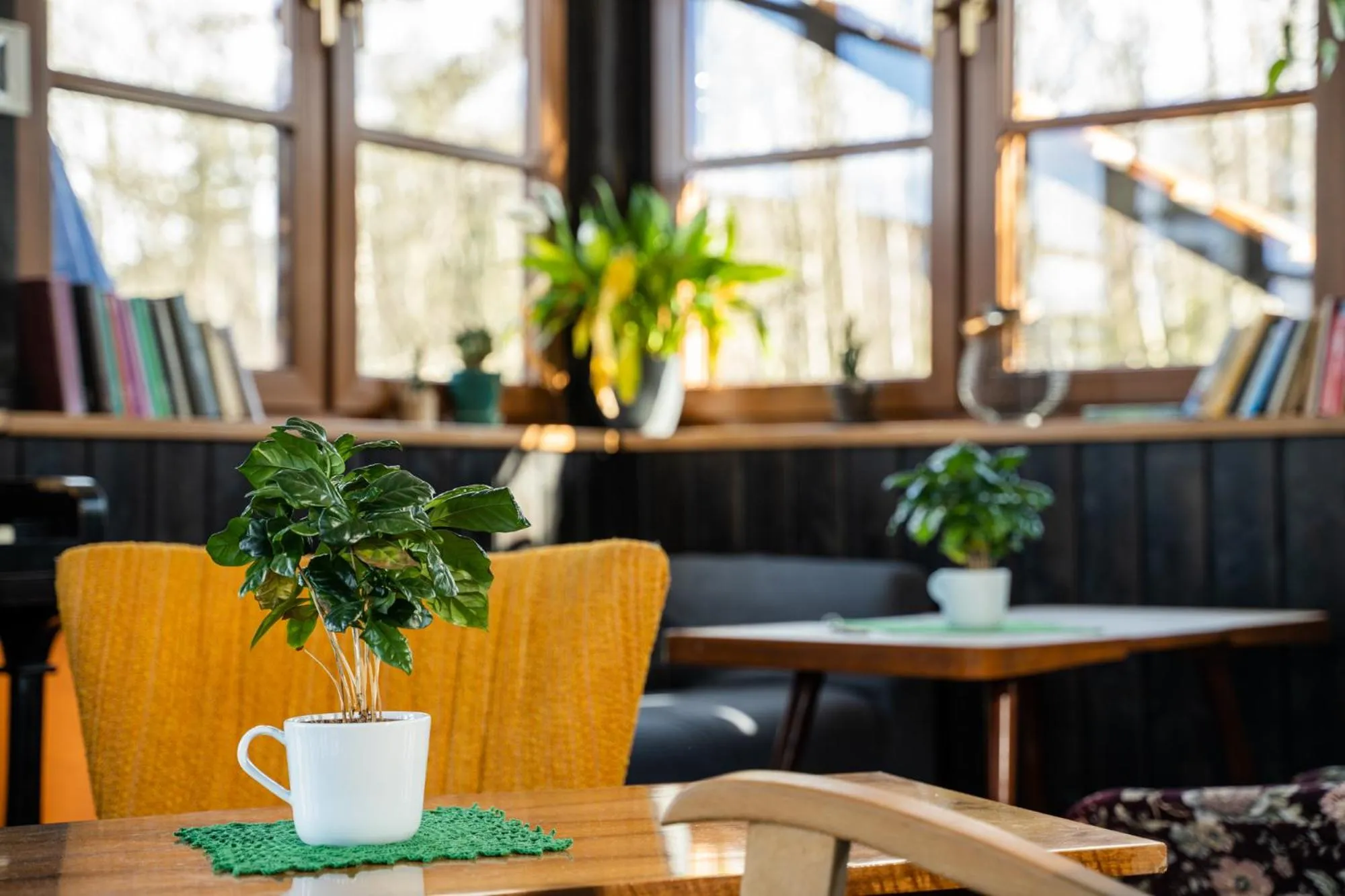 Property building in Owca z widokiem