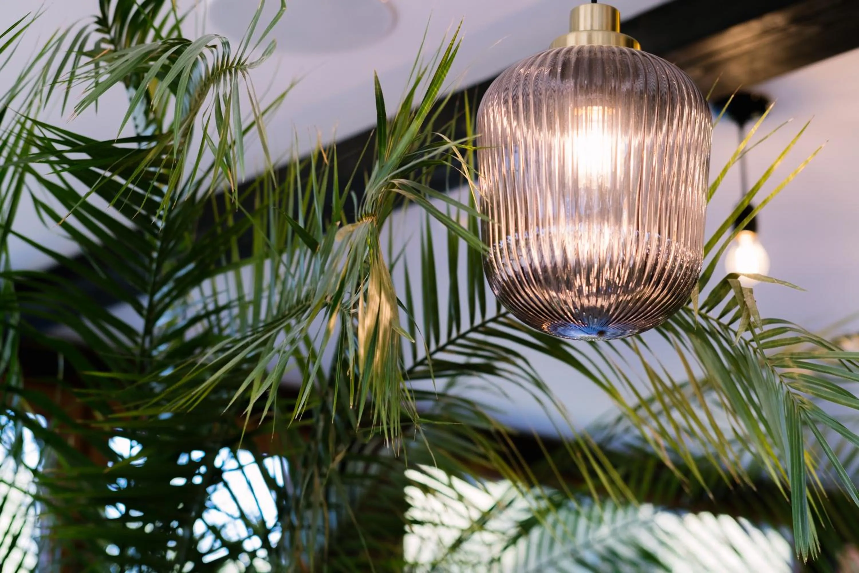 Restaurant/places to eat in Owca z widokiem