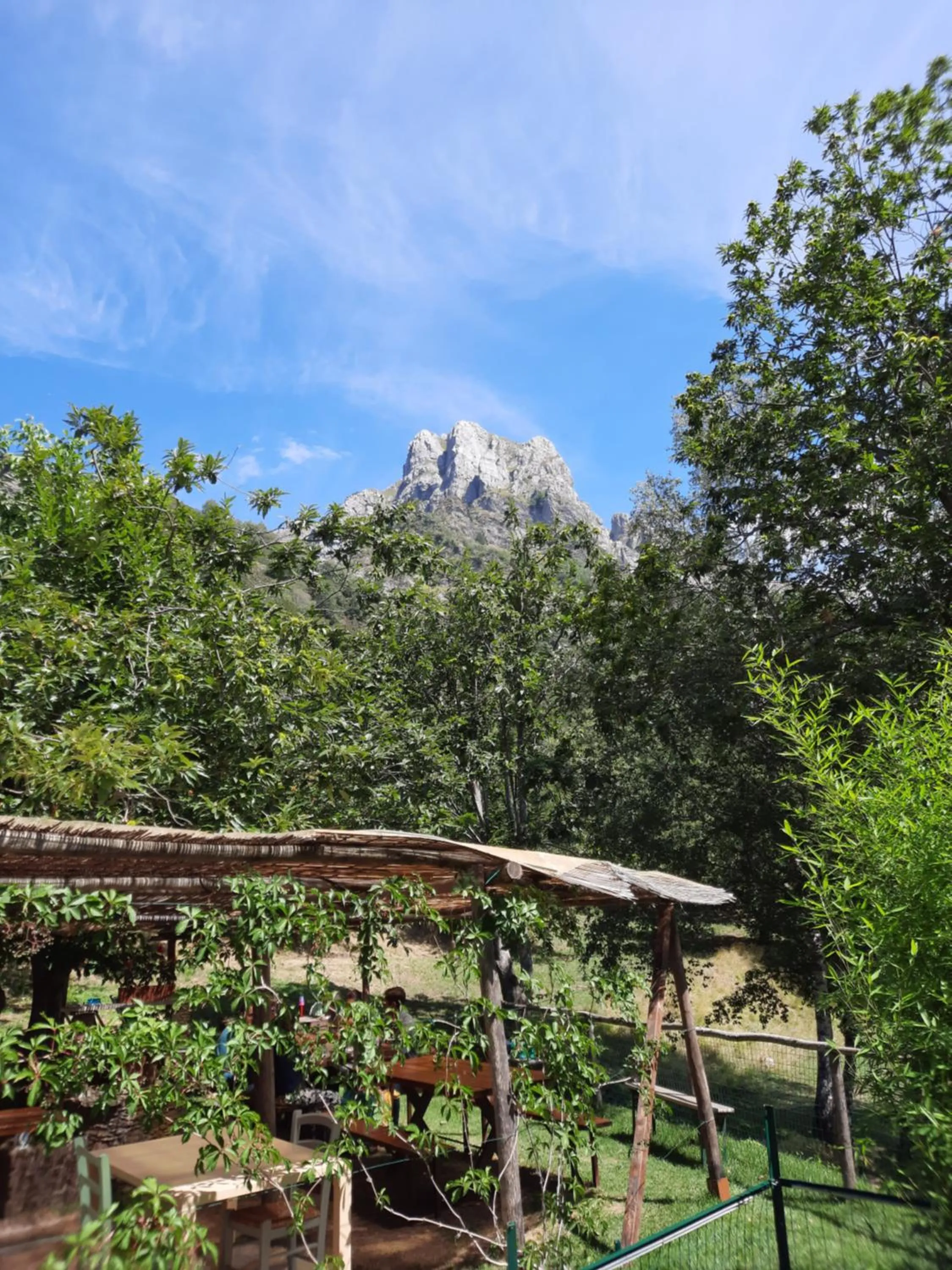 Natural landscape in Art Hotel Pietrasanta