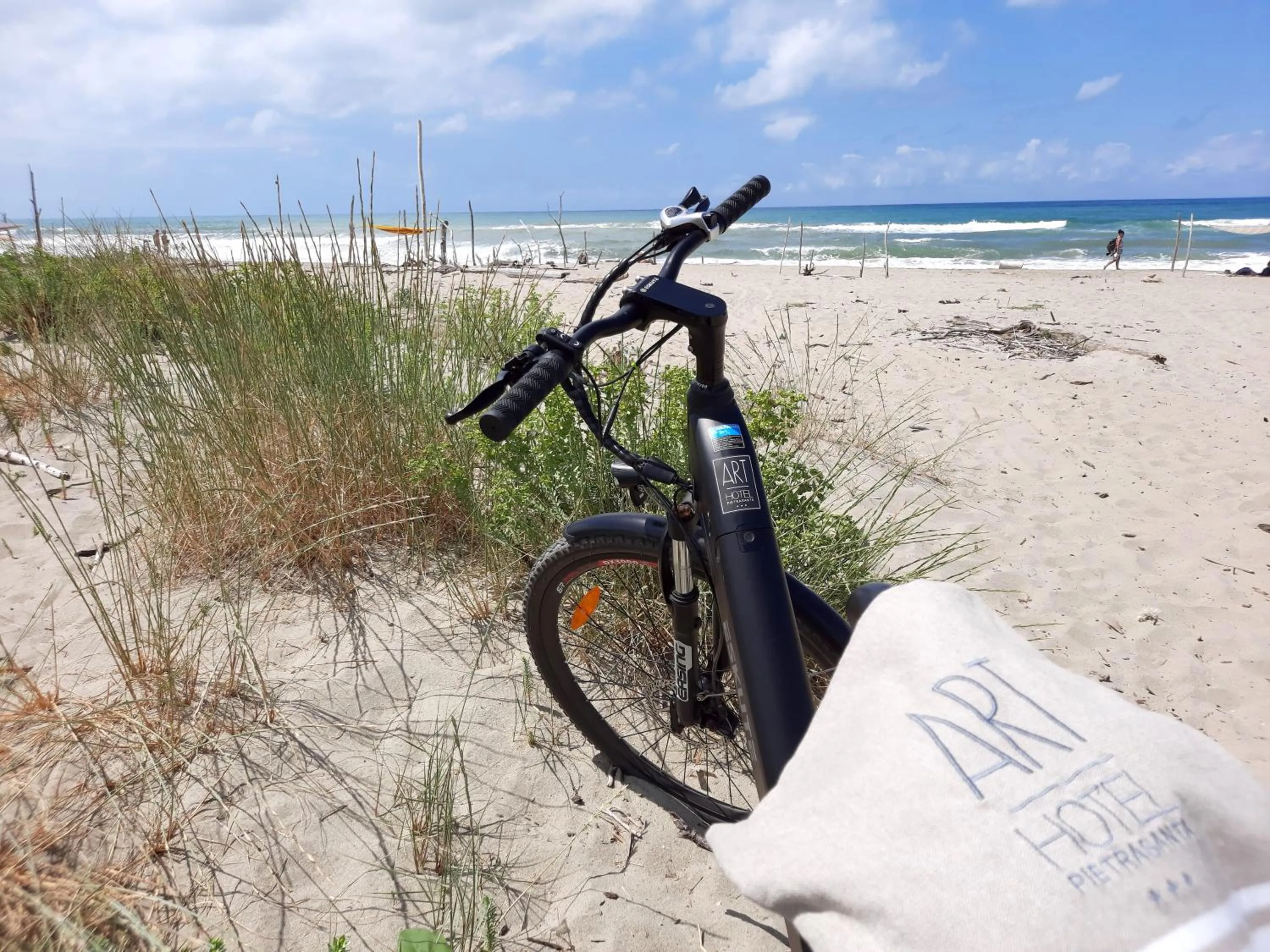 Natural landscape in Art Hotel Pietrasanta