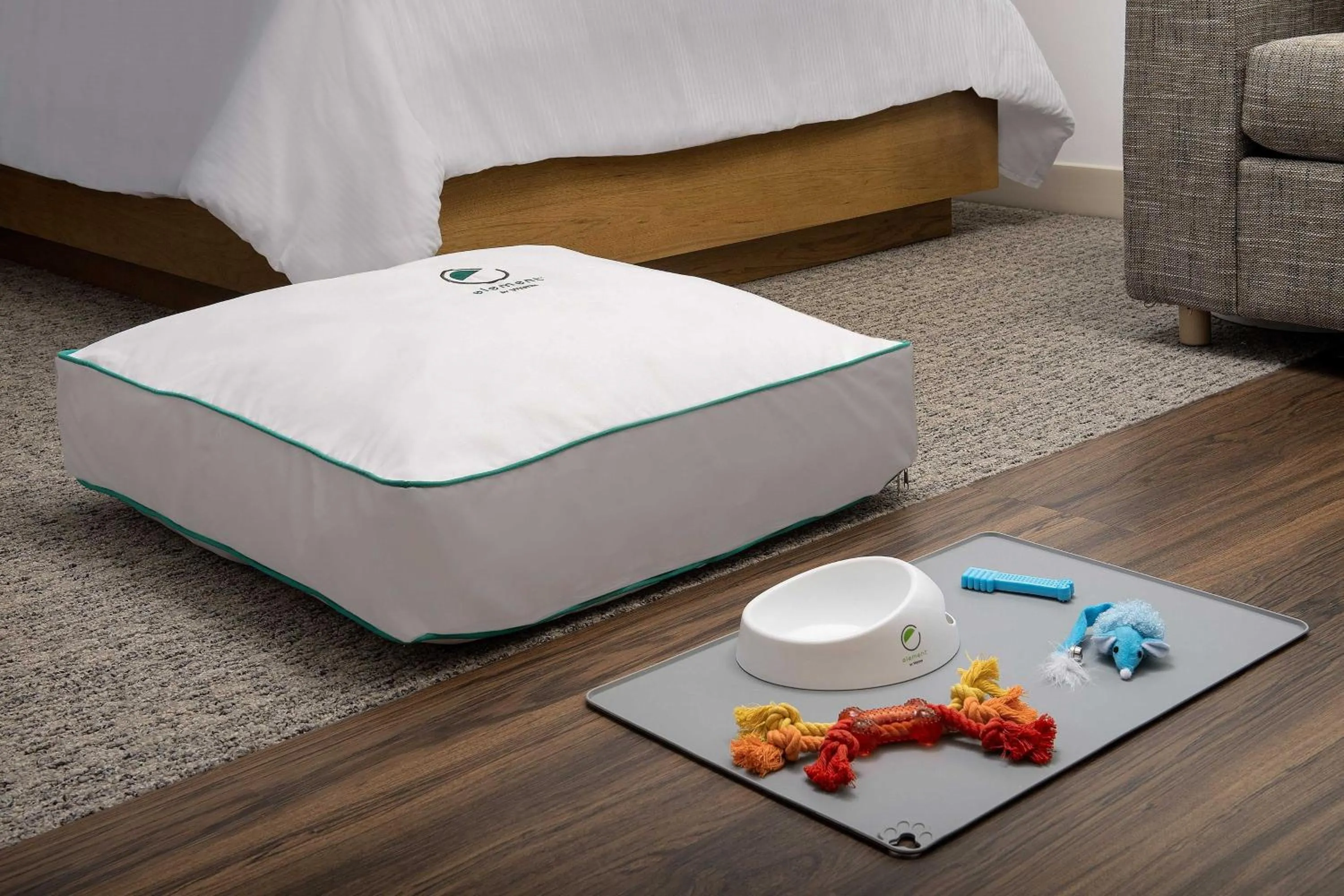 Photo of the whole room, Bed in Element Jacksonville Beach