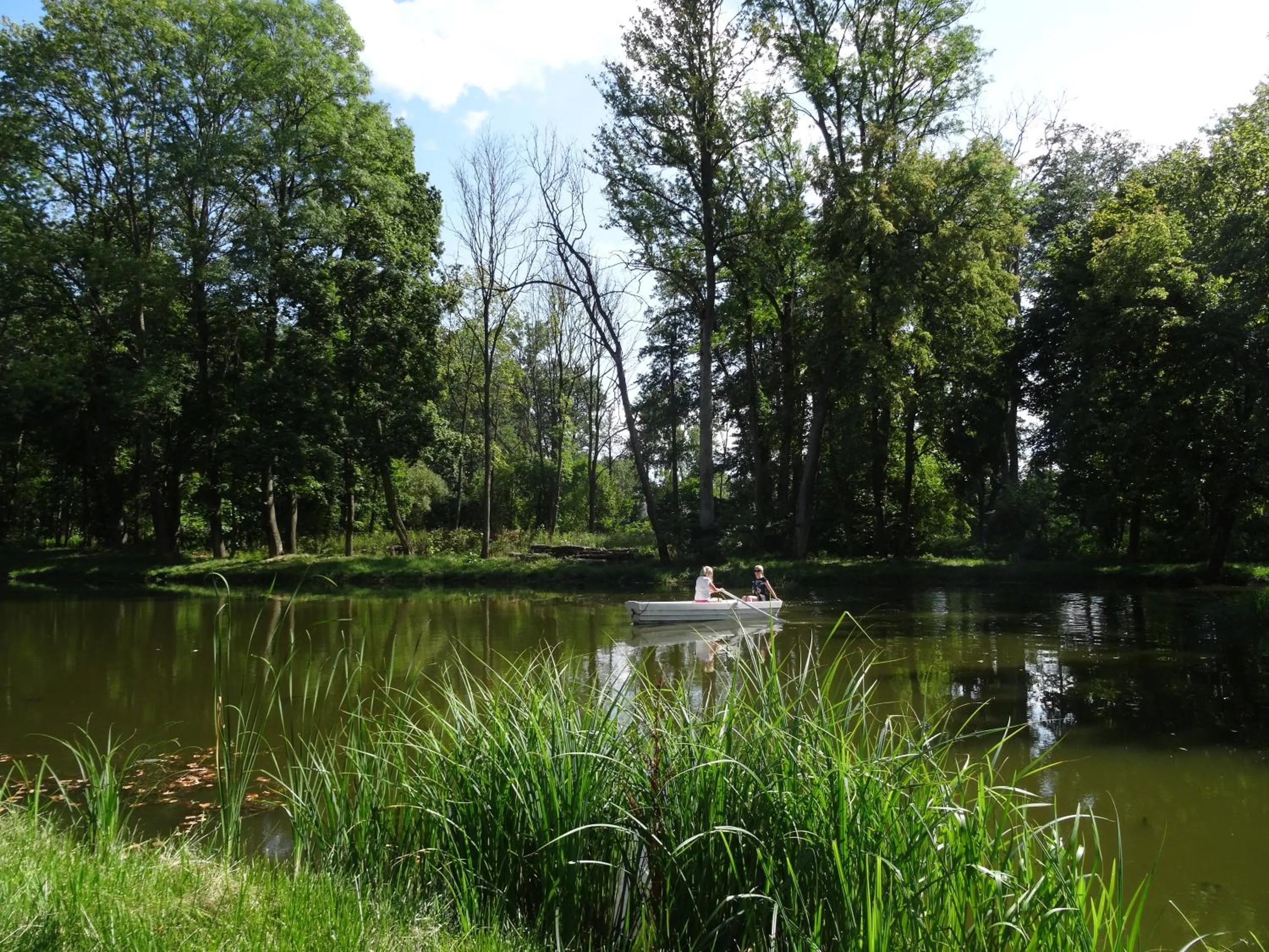 Nearby landmark in Pałac Cieleśnica