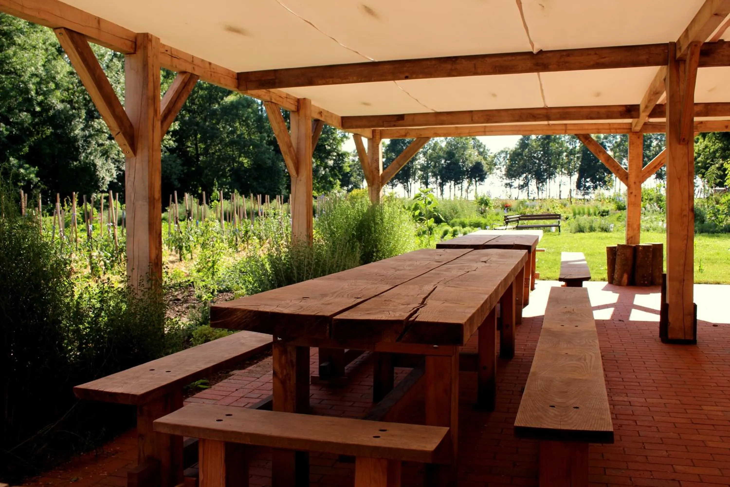 Patio in Pałac Cieleśnica