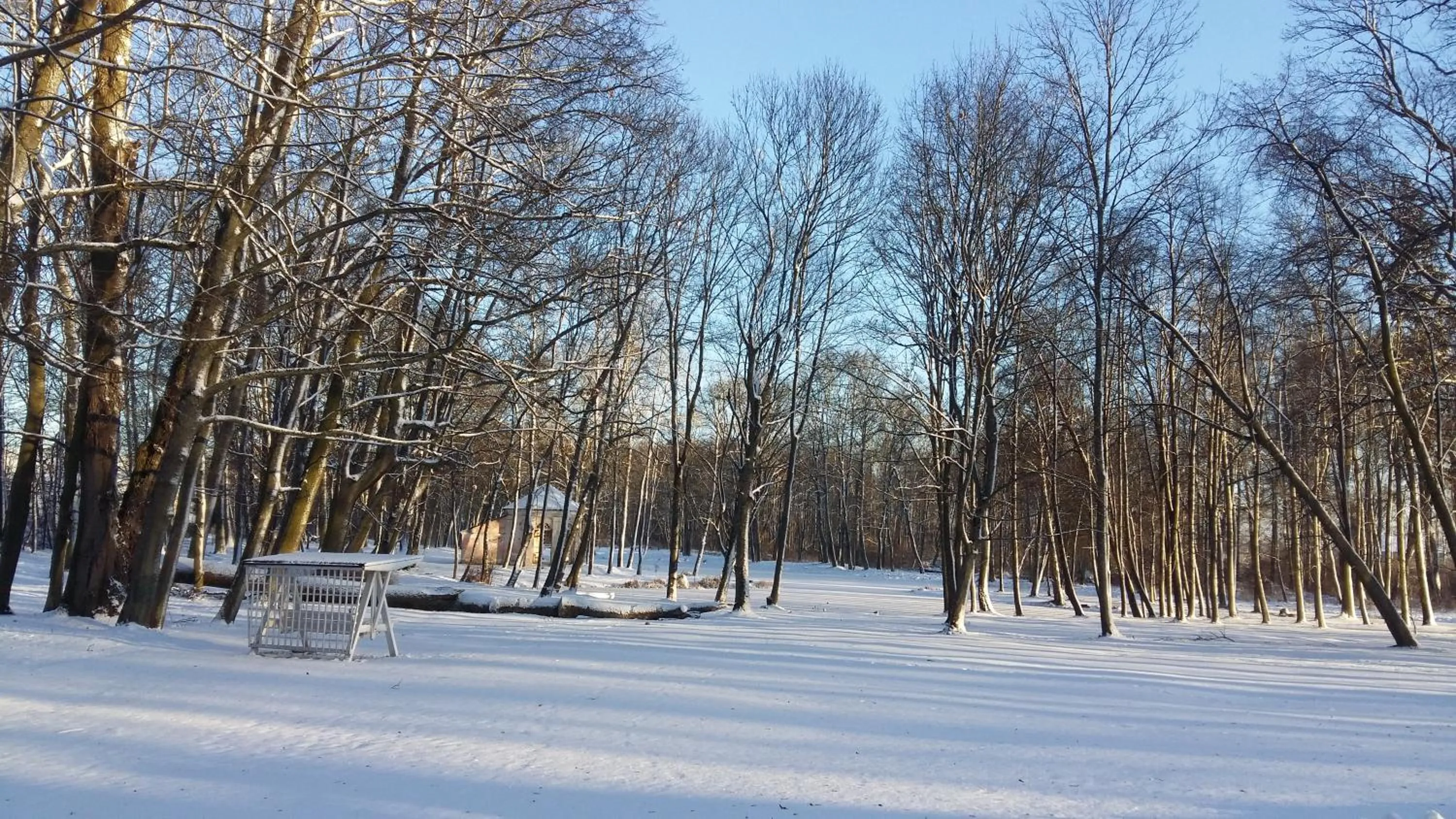 Natural landscape in Pałac Cieleśnica