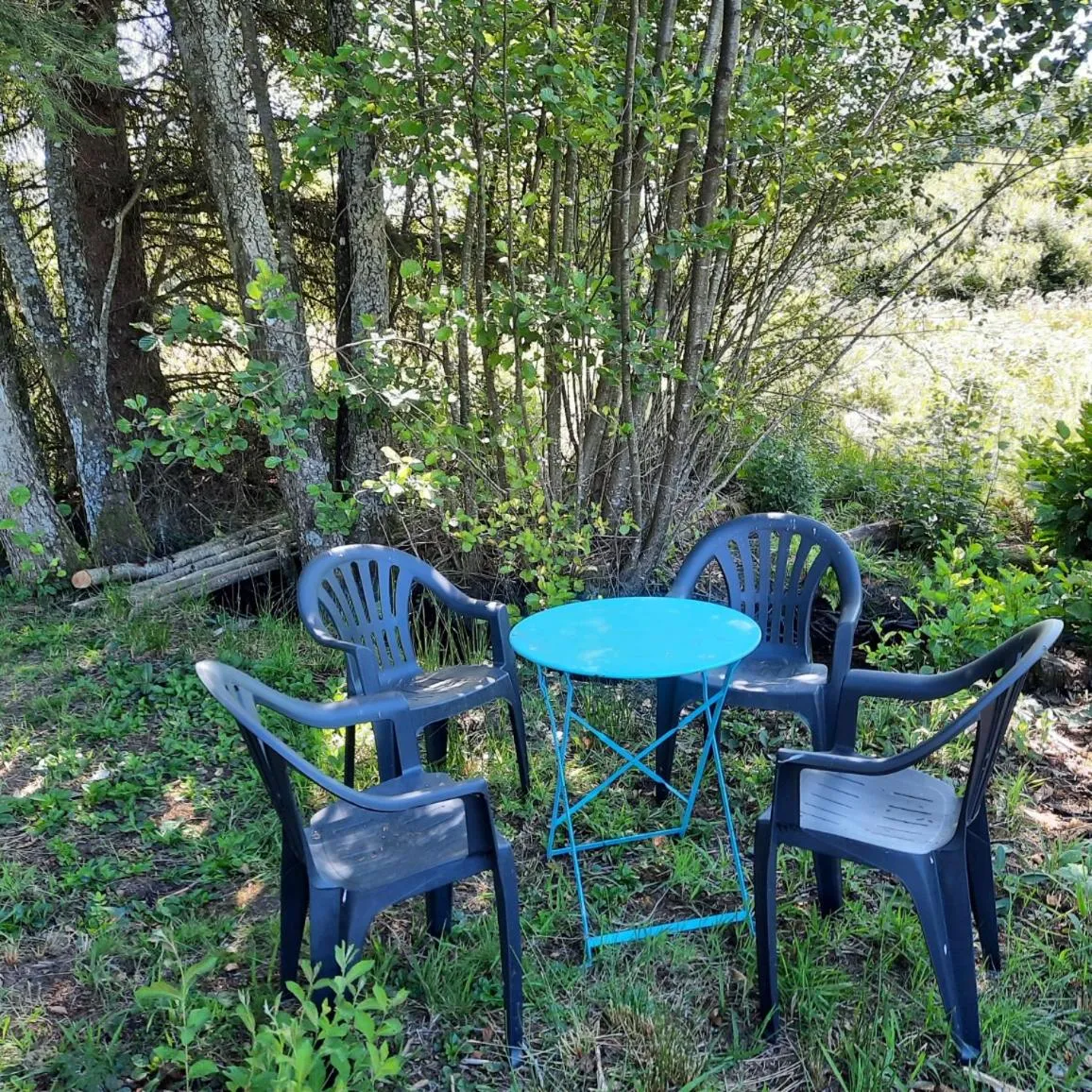 Chambre d'hôte Le Châtaignier