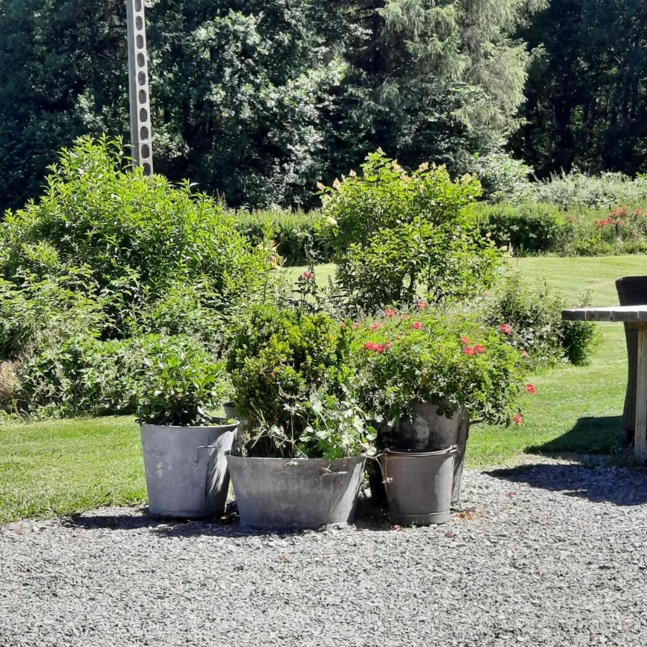 Chambre d'hôte Le Châtaignier