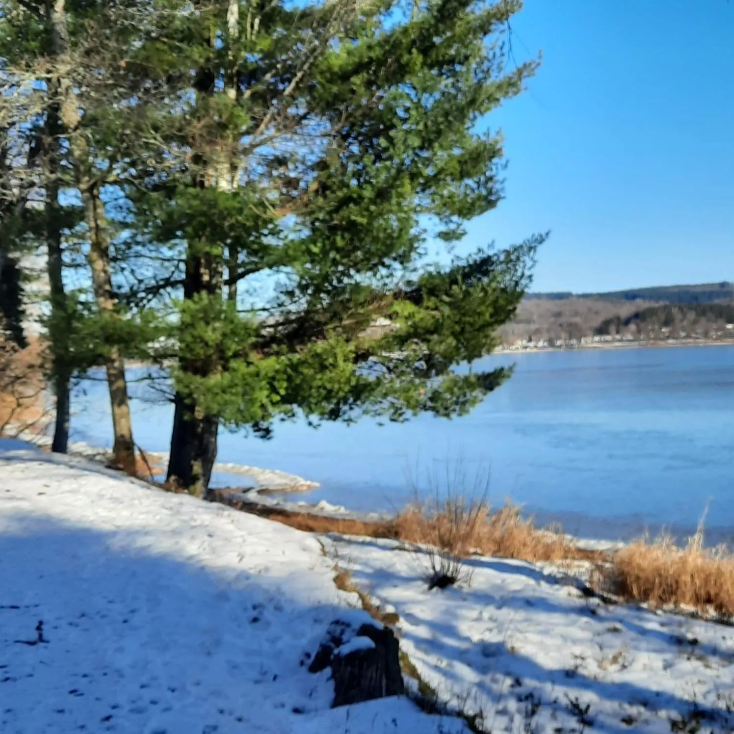 Natural landscape in Chambre d'hôte Le Châtaignier