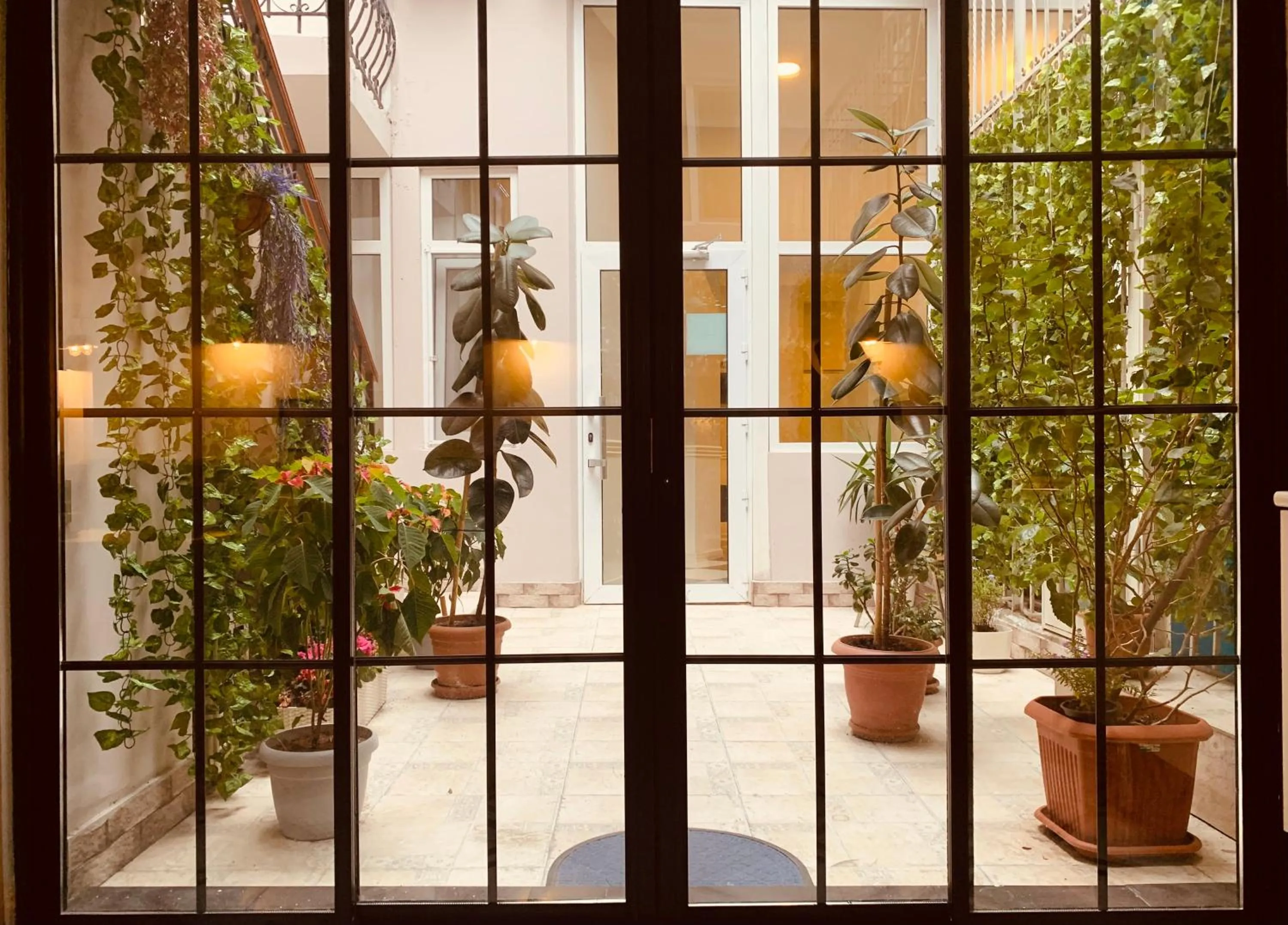 Garden view in Moss Art Boutique Hotel