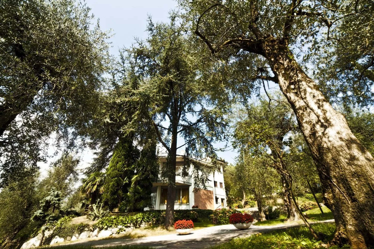 Property building in Hotel Villa Orizzonte