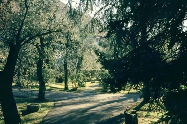 Garden in Hotel Villa Orizzonte