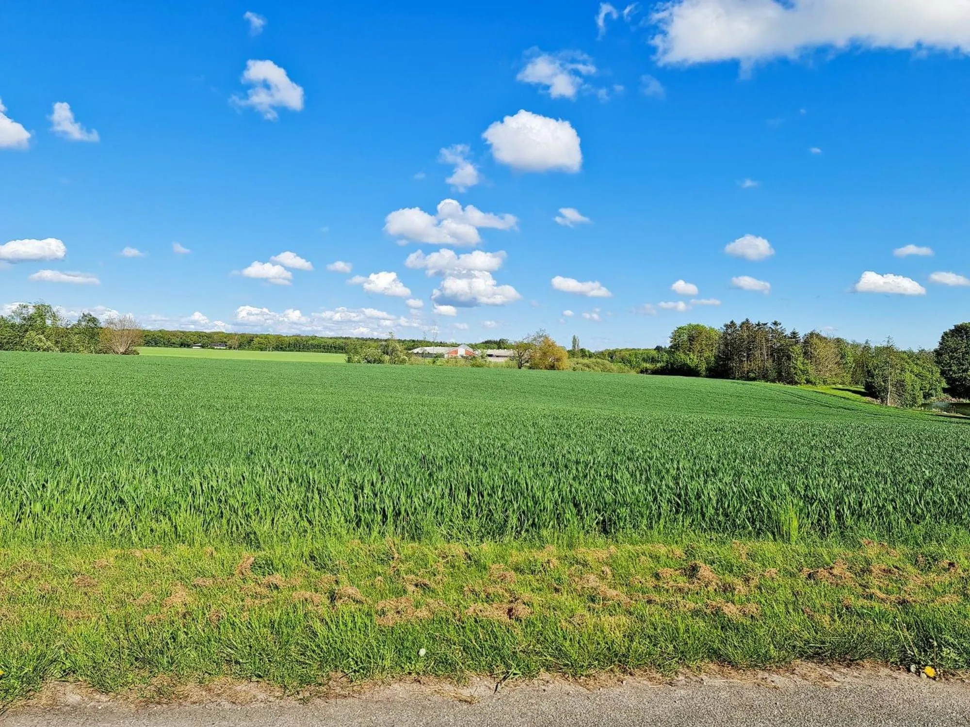 Spring in Hotel Stokkegaarden's BnB & Apartments